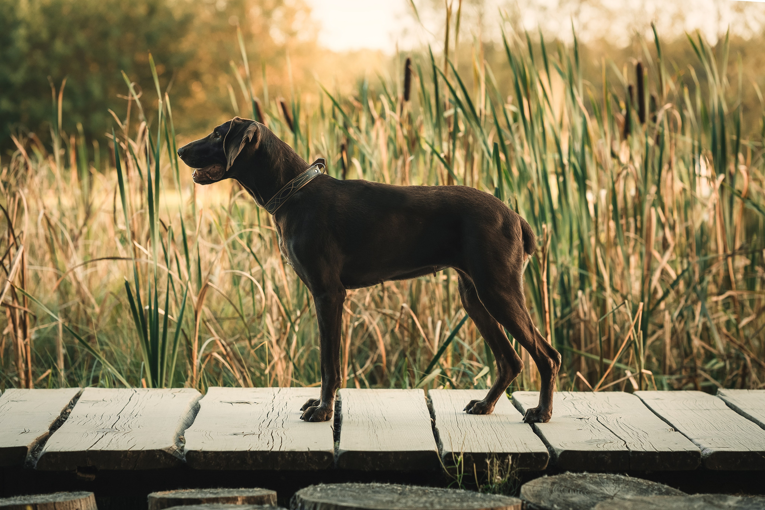 Наталья и Рица