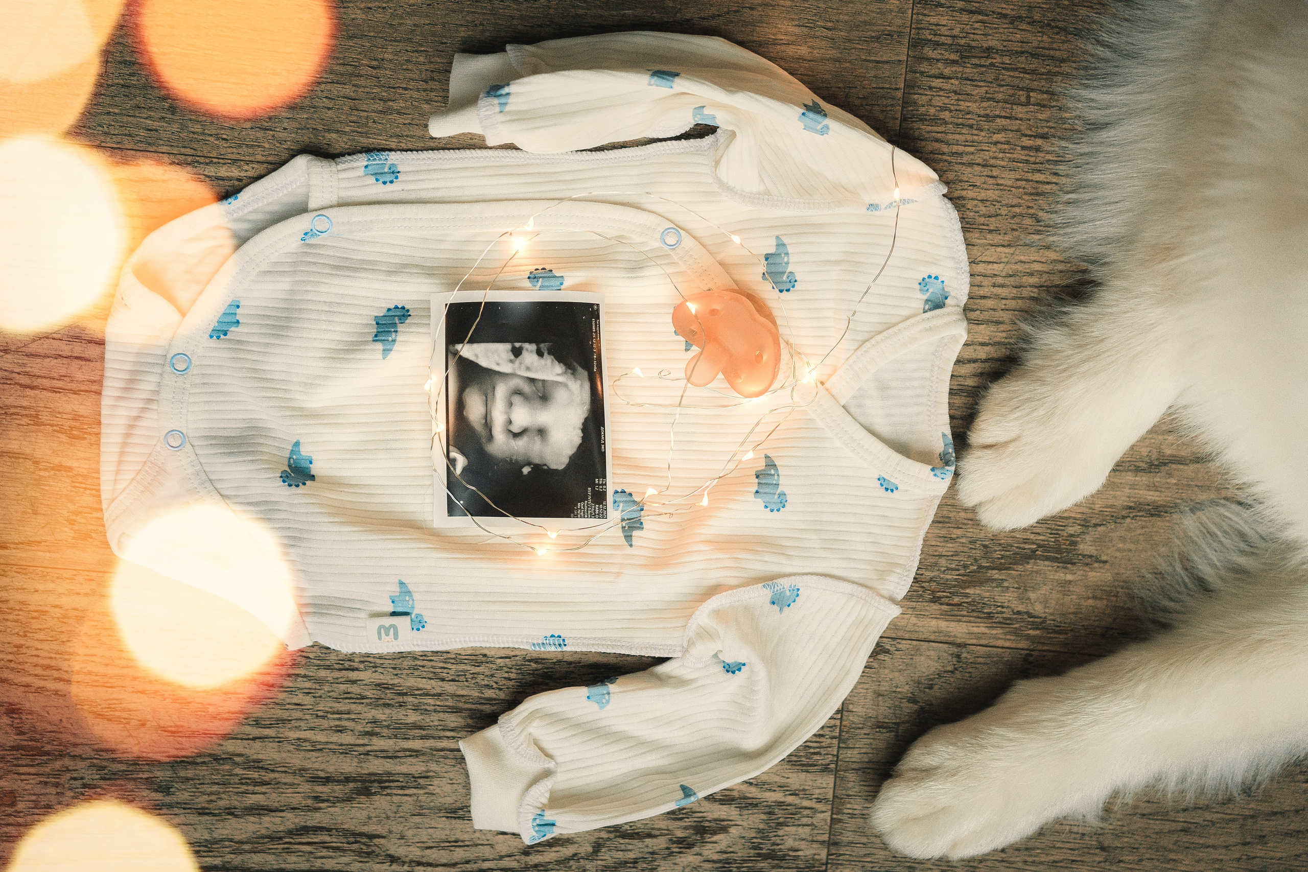 Лиза, Давид и два хвостатых облачка