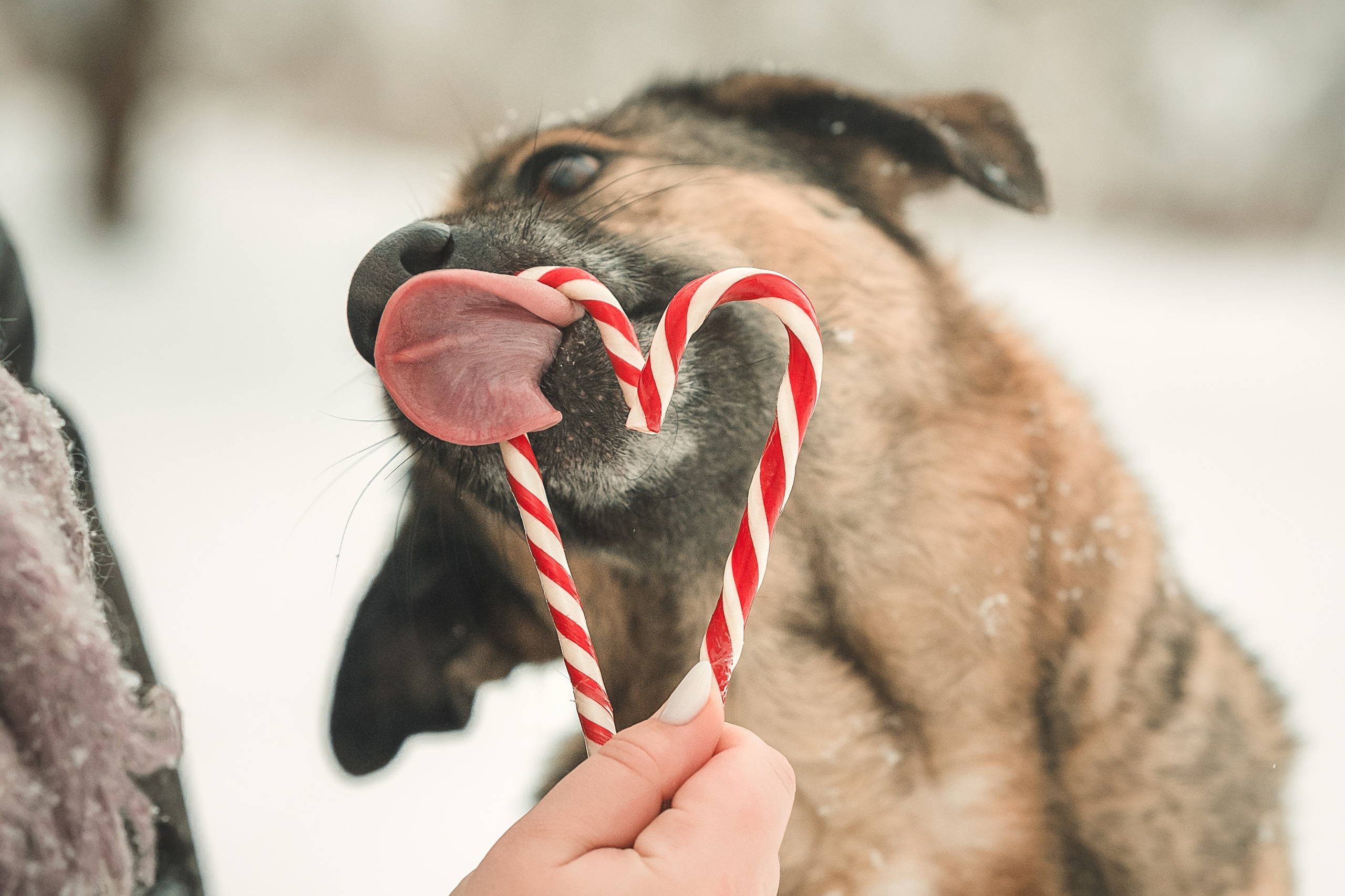 Анна и Руна