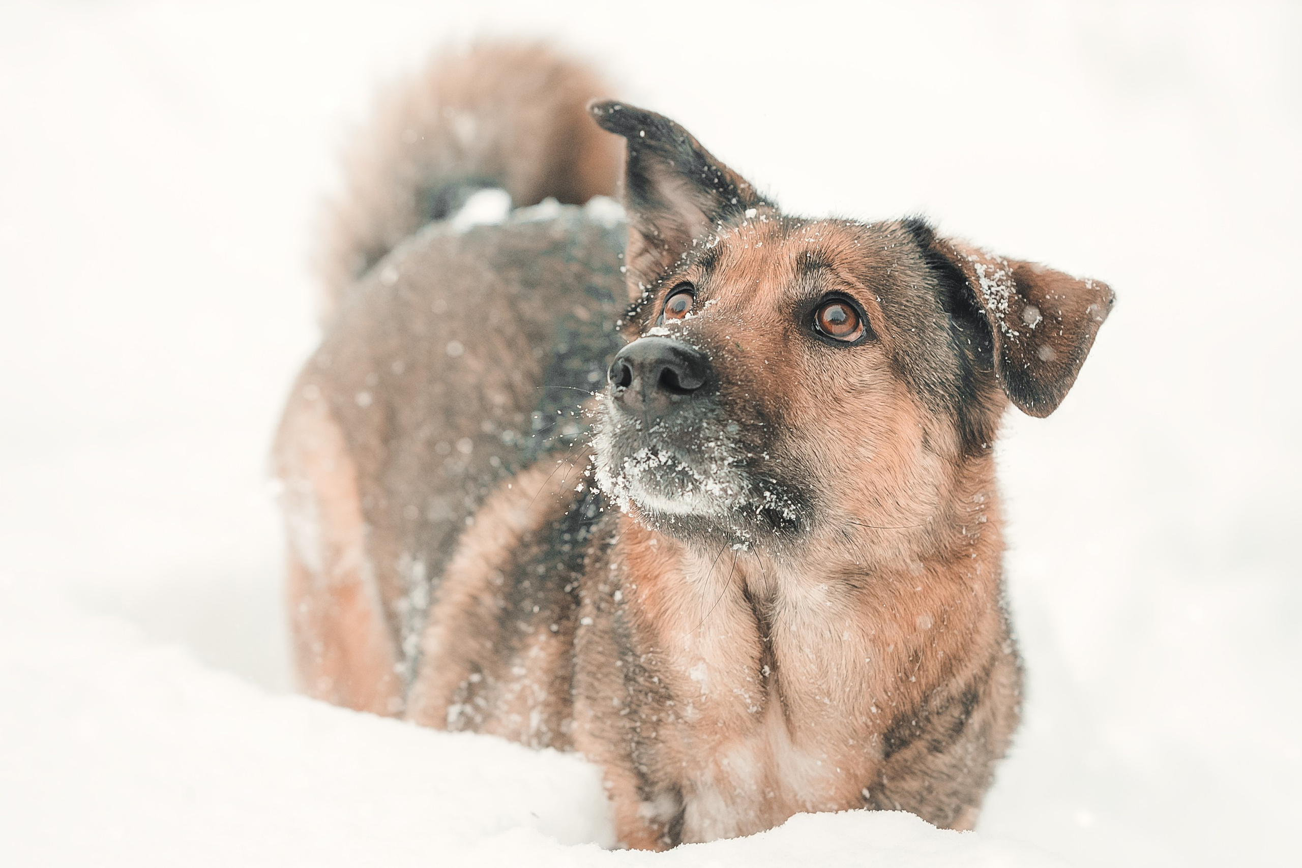 Анна и Руна