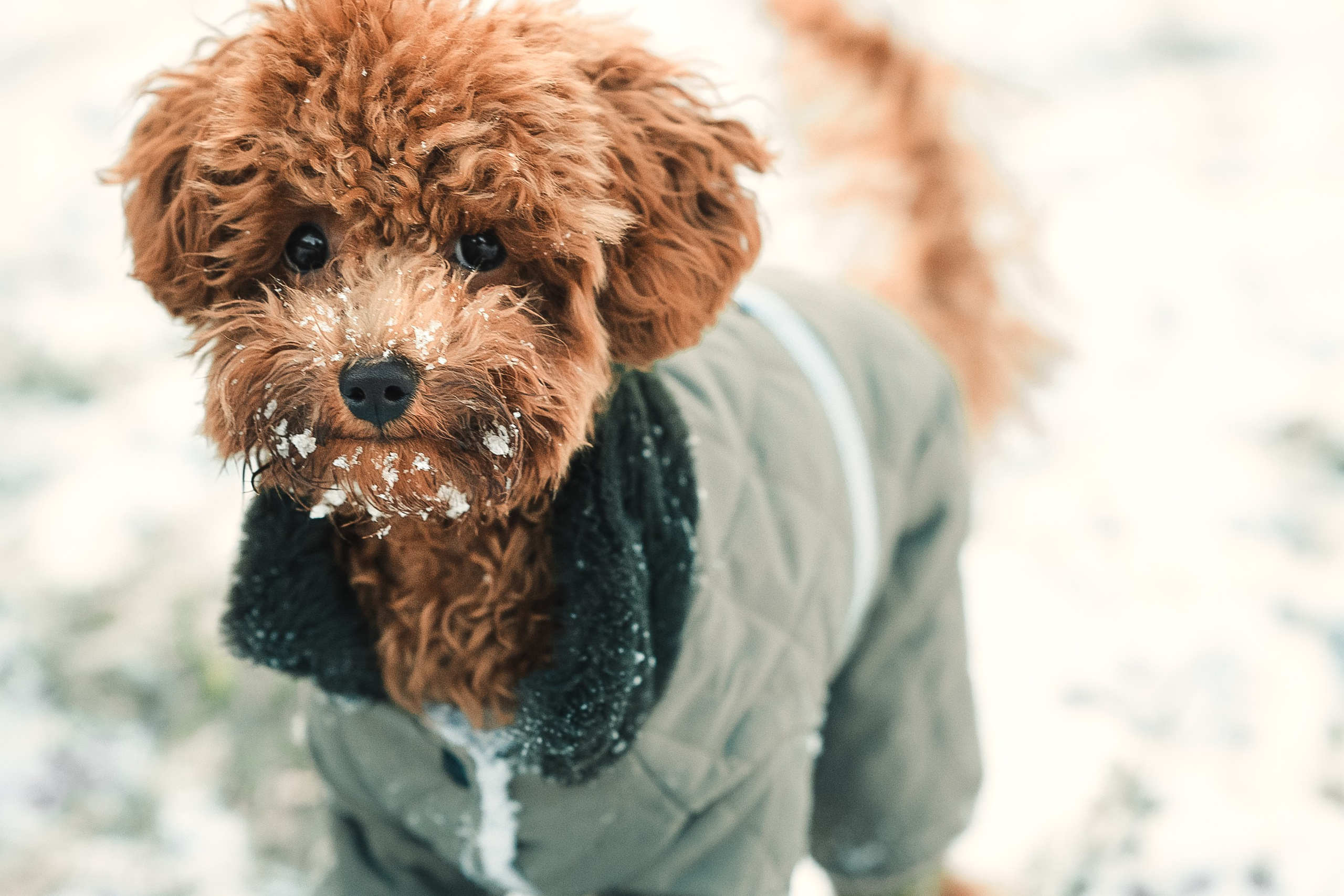 Наталья и Руби