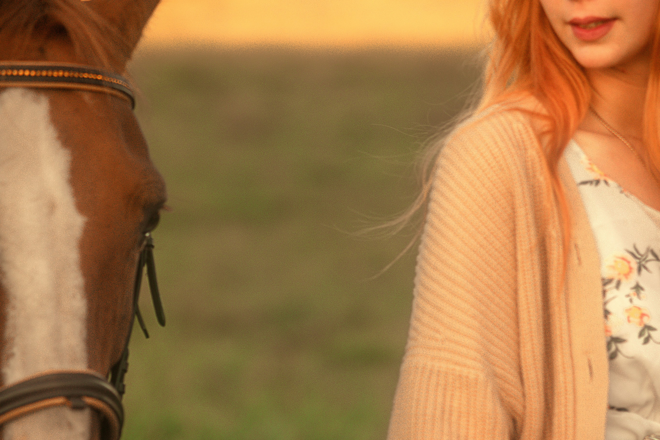 Фотограф-анималист Москва. Бутько Анжелика.