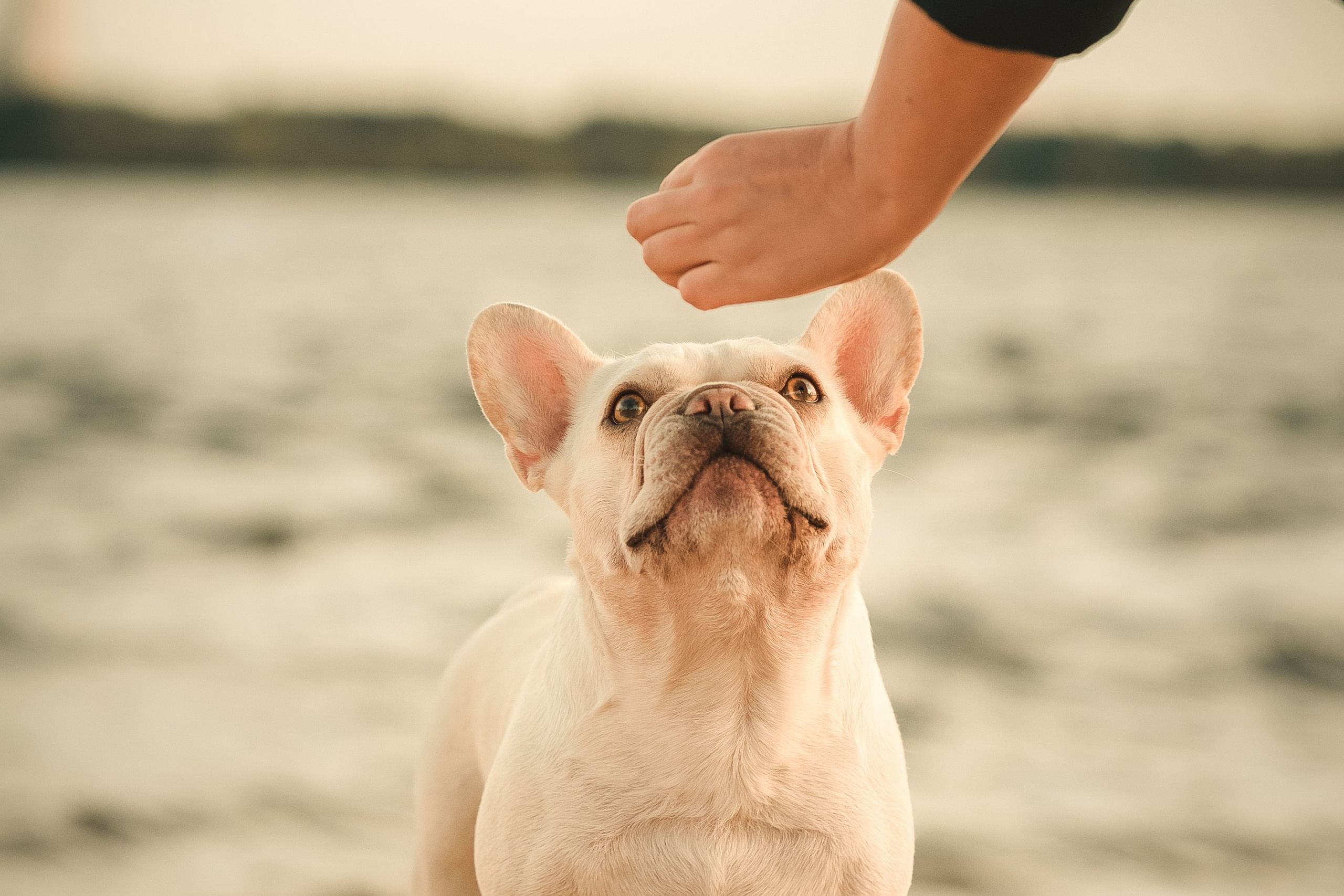 Светлана и Маруся