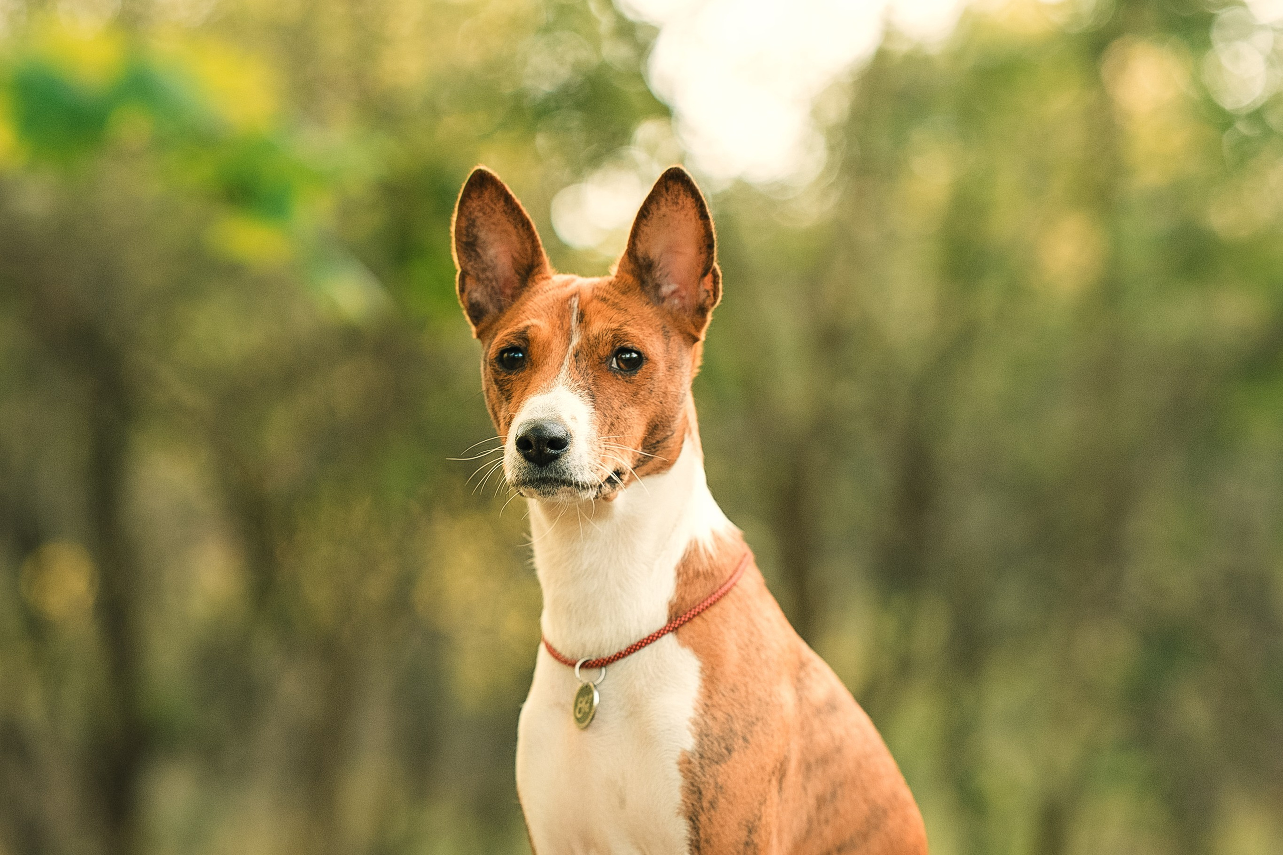 Светлана и Ева