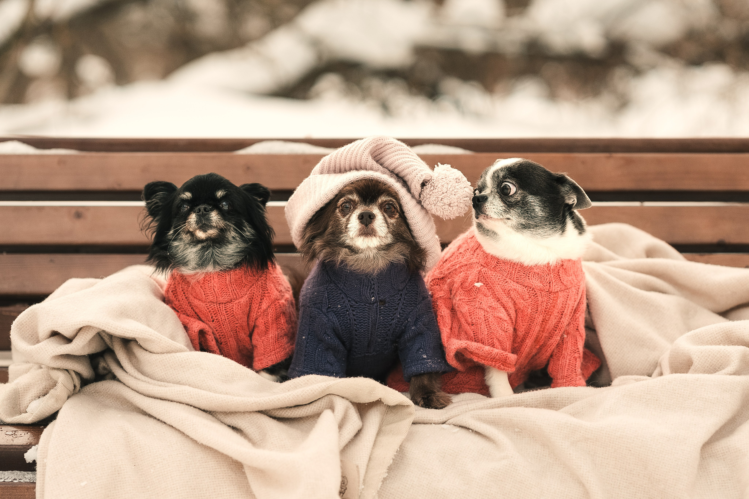 Елена и малыши чихи