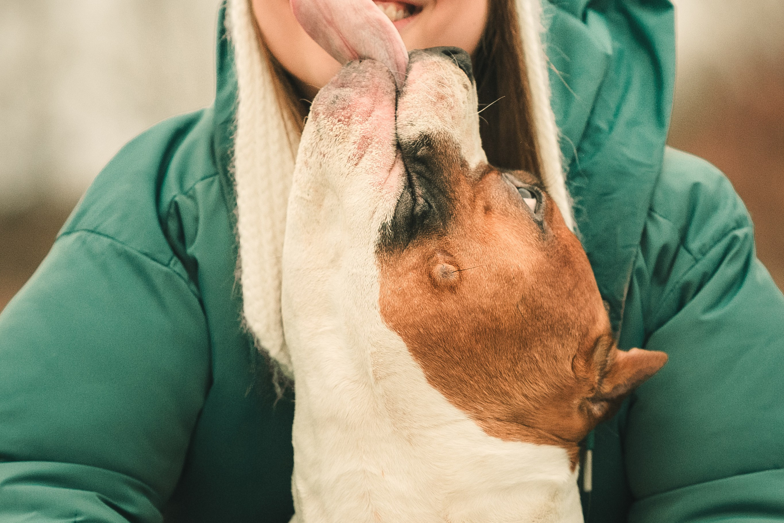 Анна и&nbsp;Феникс