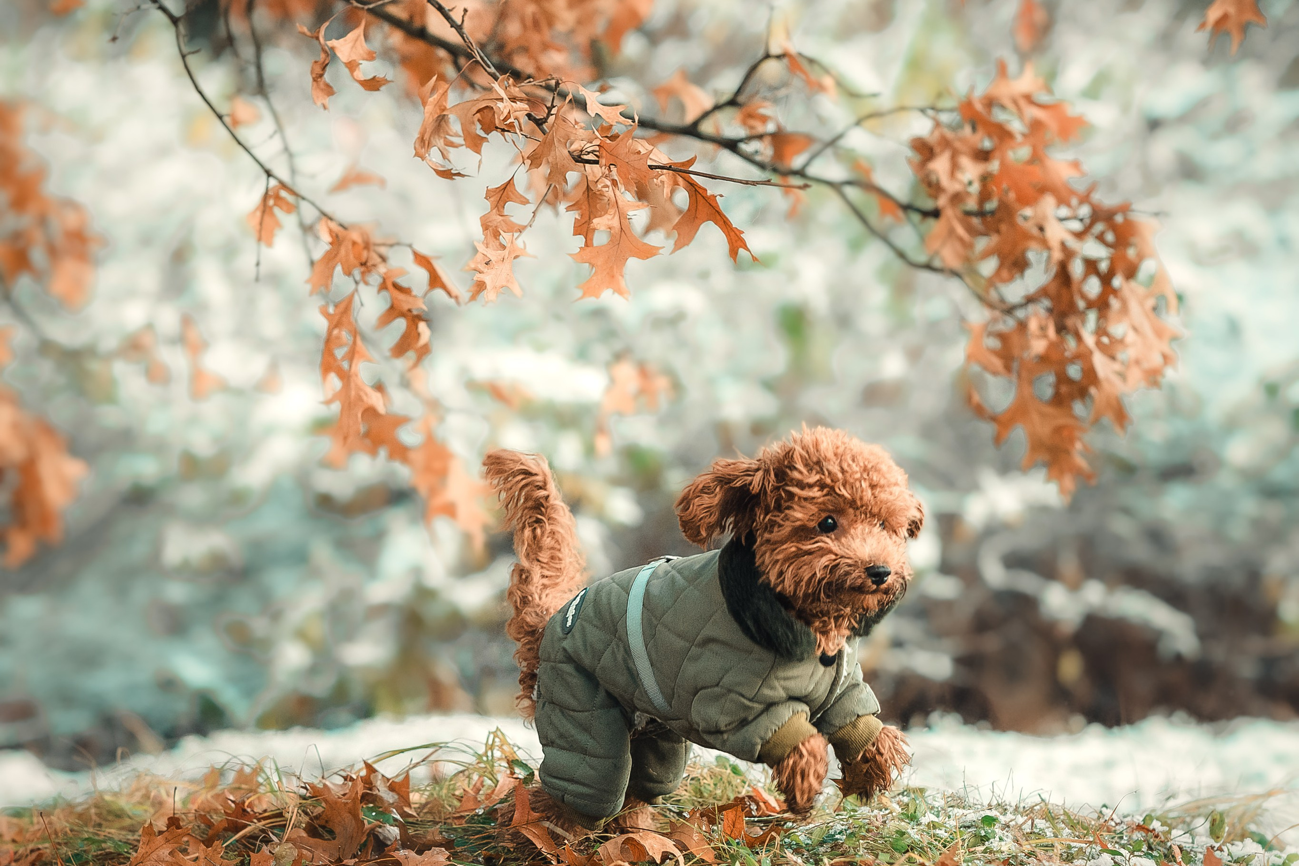 Наталья и Руби