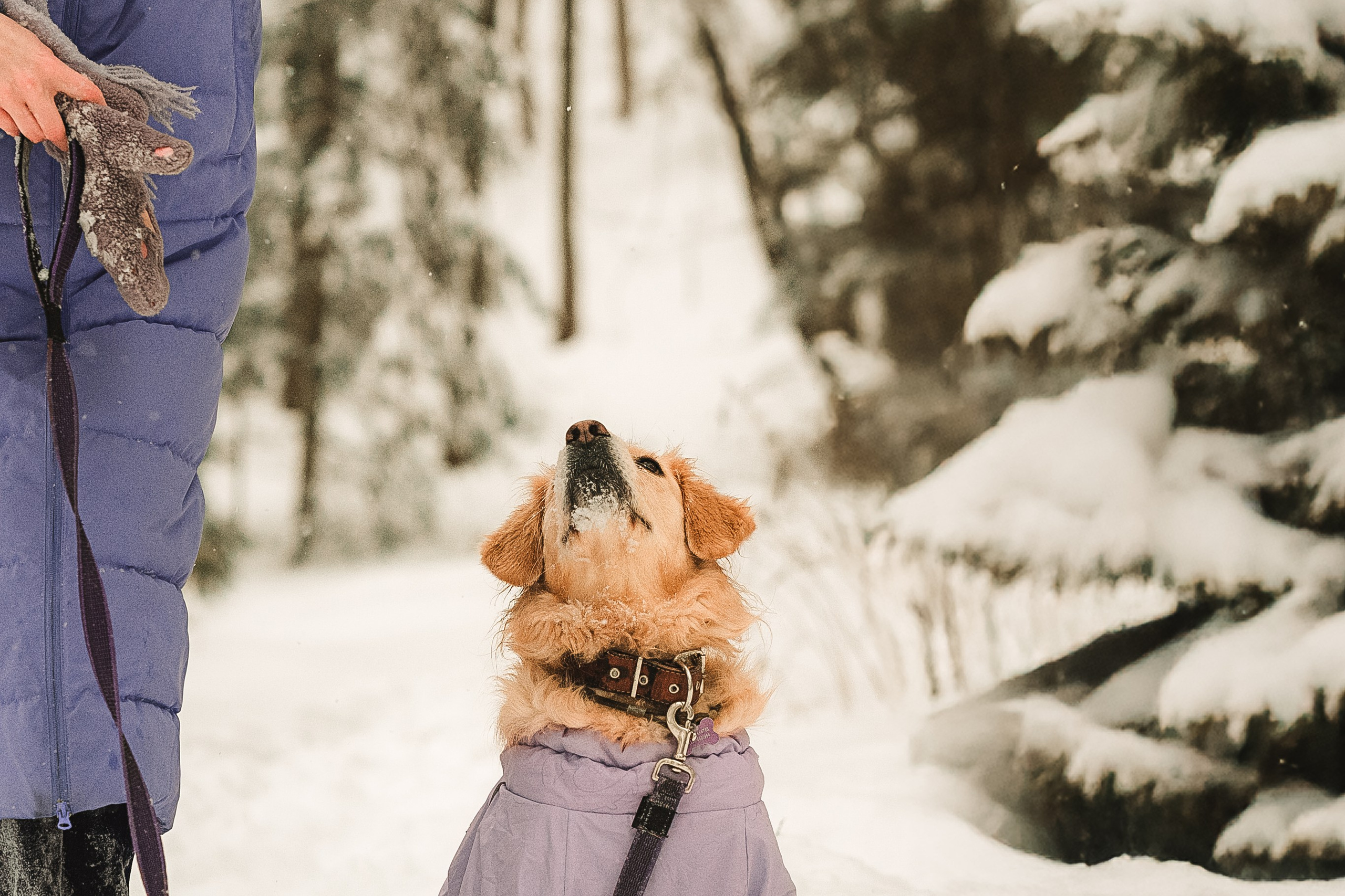 Анна и Сонечка