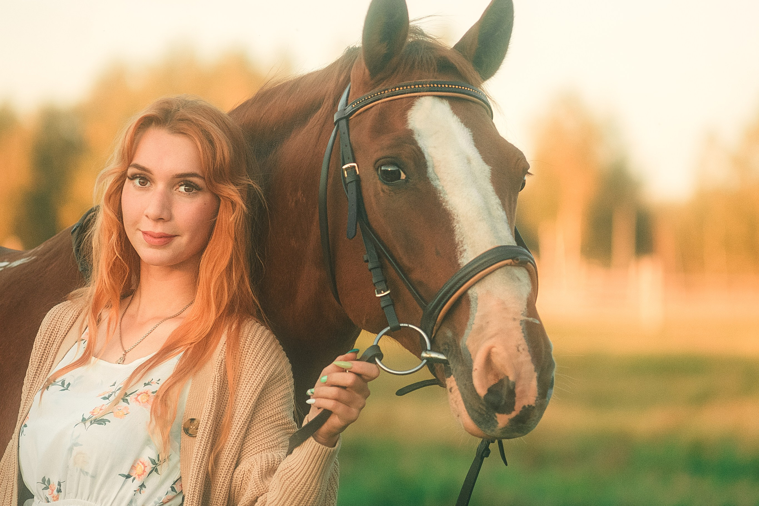 Фотограф-анималист МО