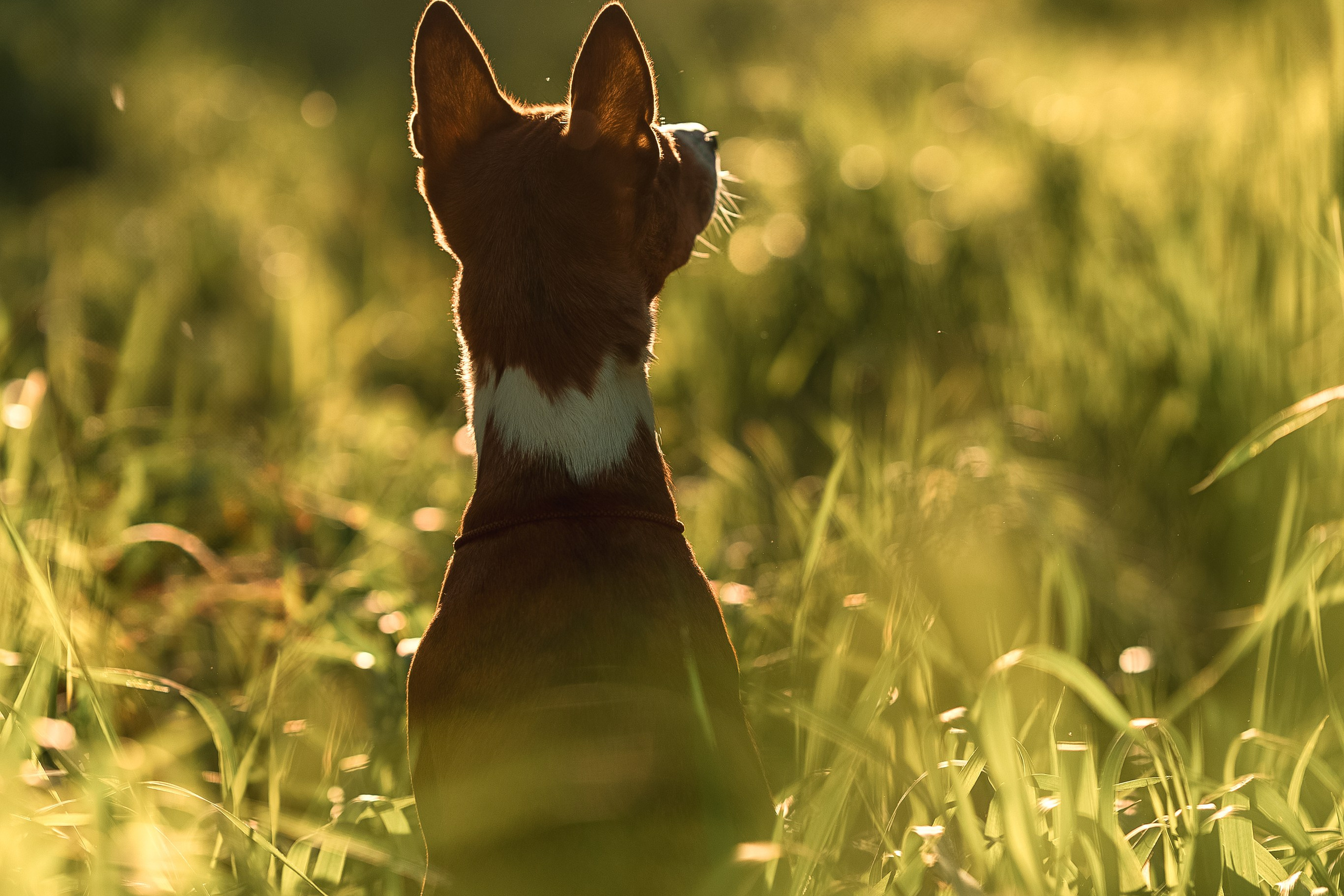 Светлана и Ева