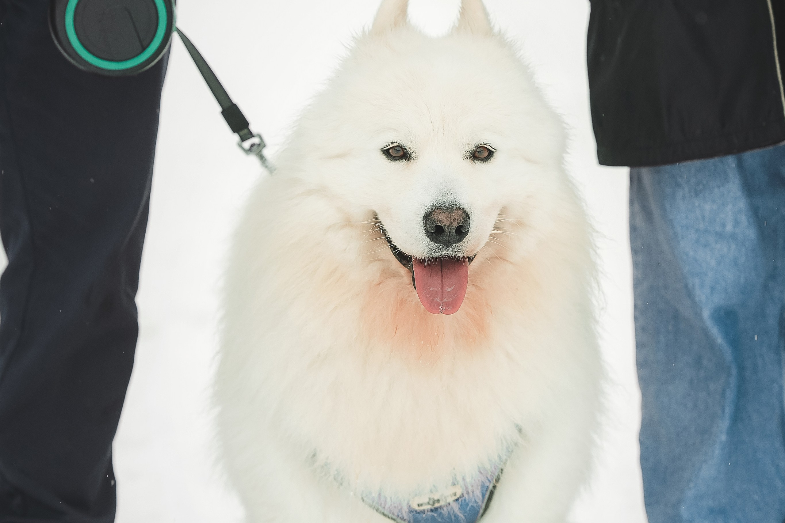 Юрий, Марианна и Санни