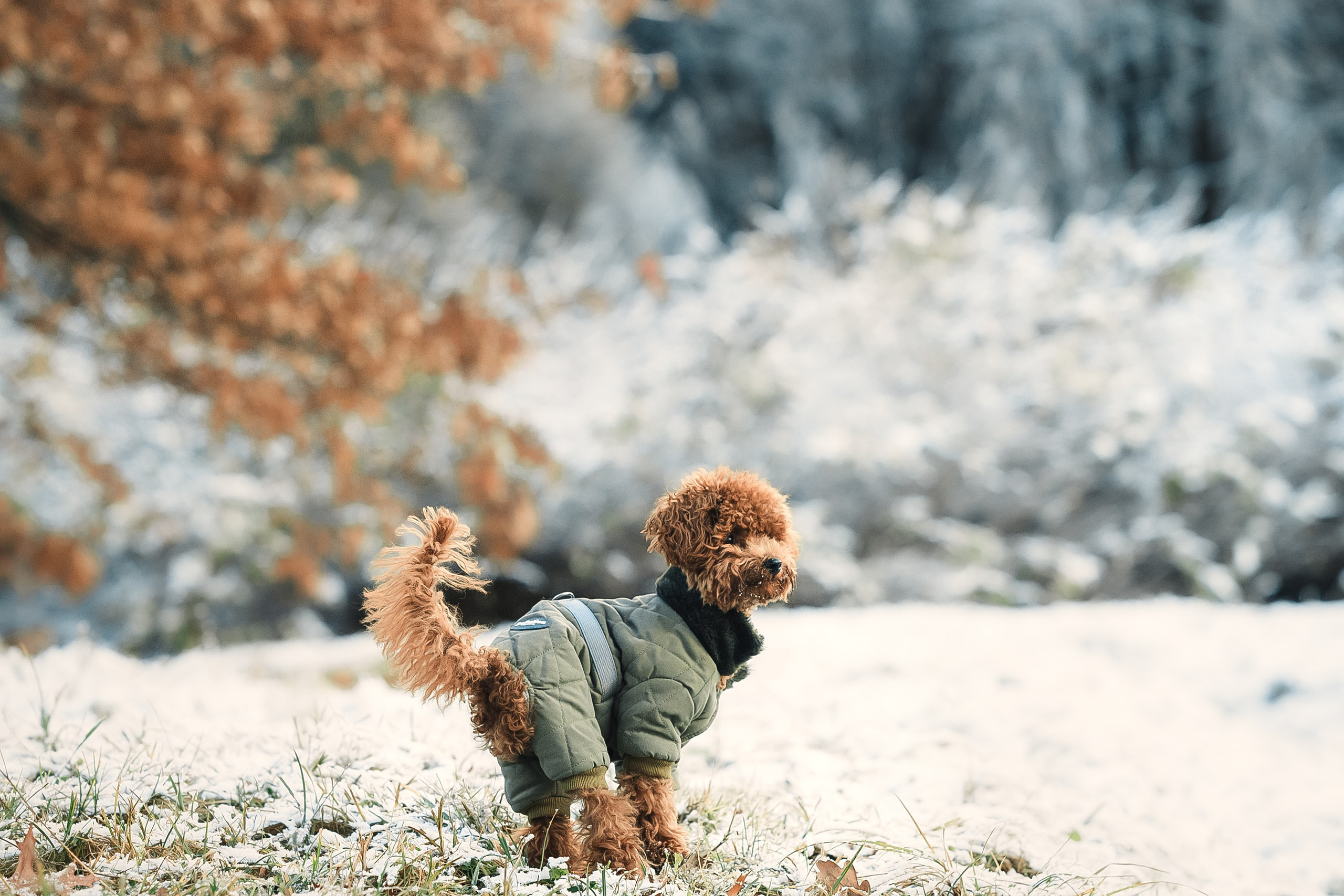 Наталья и Руби