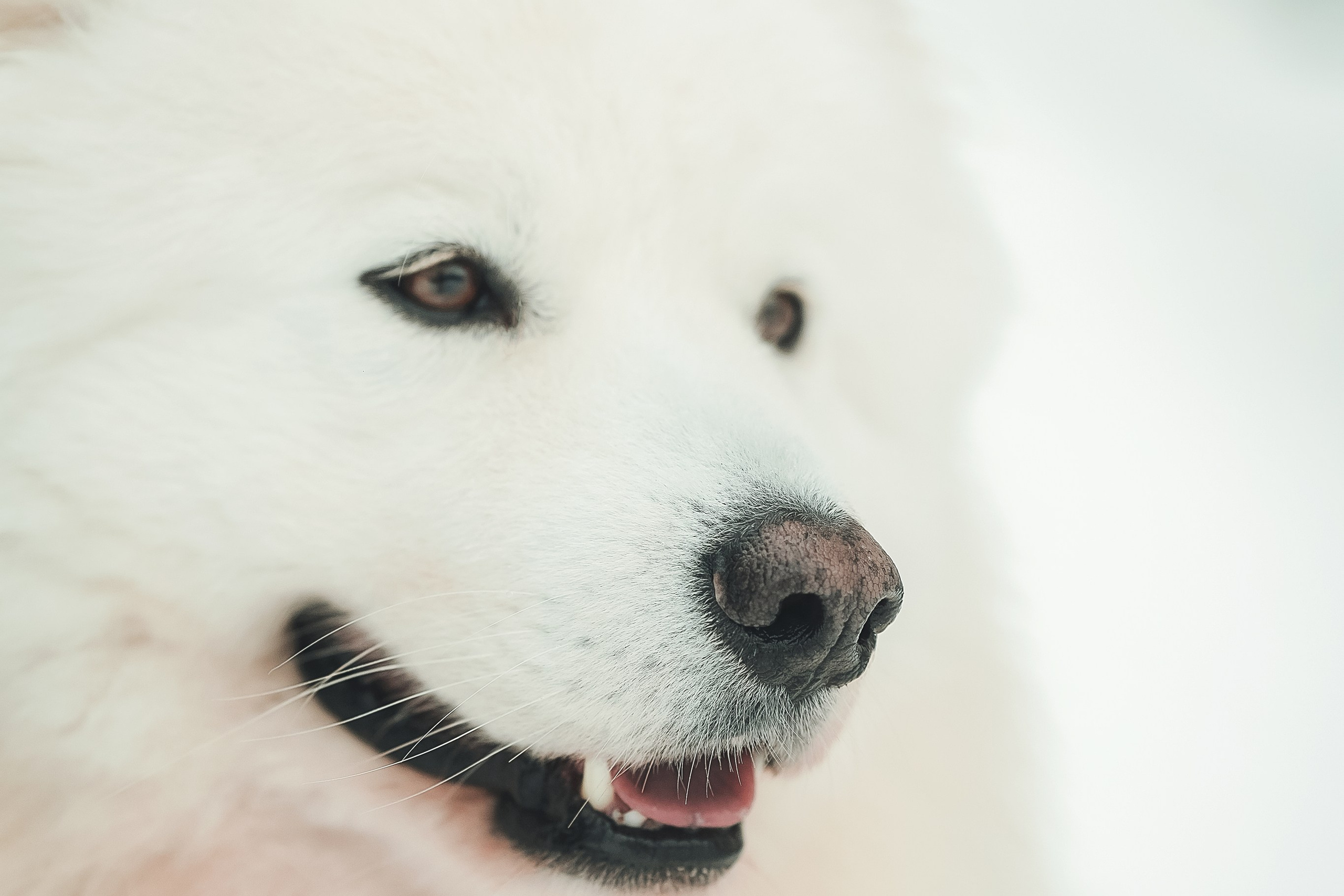 Юрий, Марианна и Санни