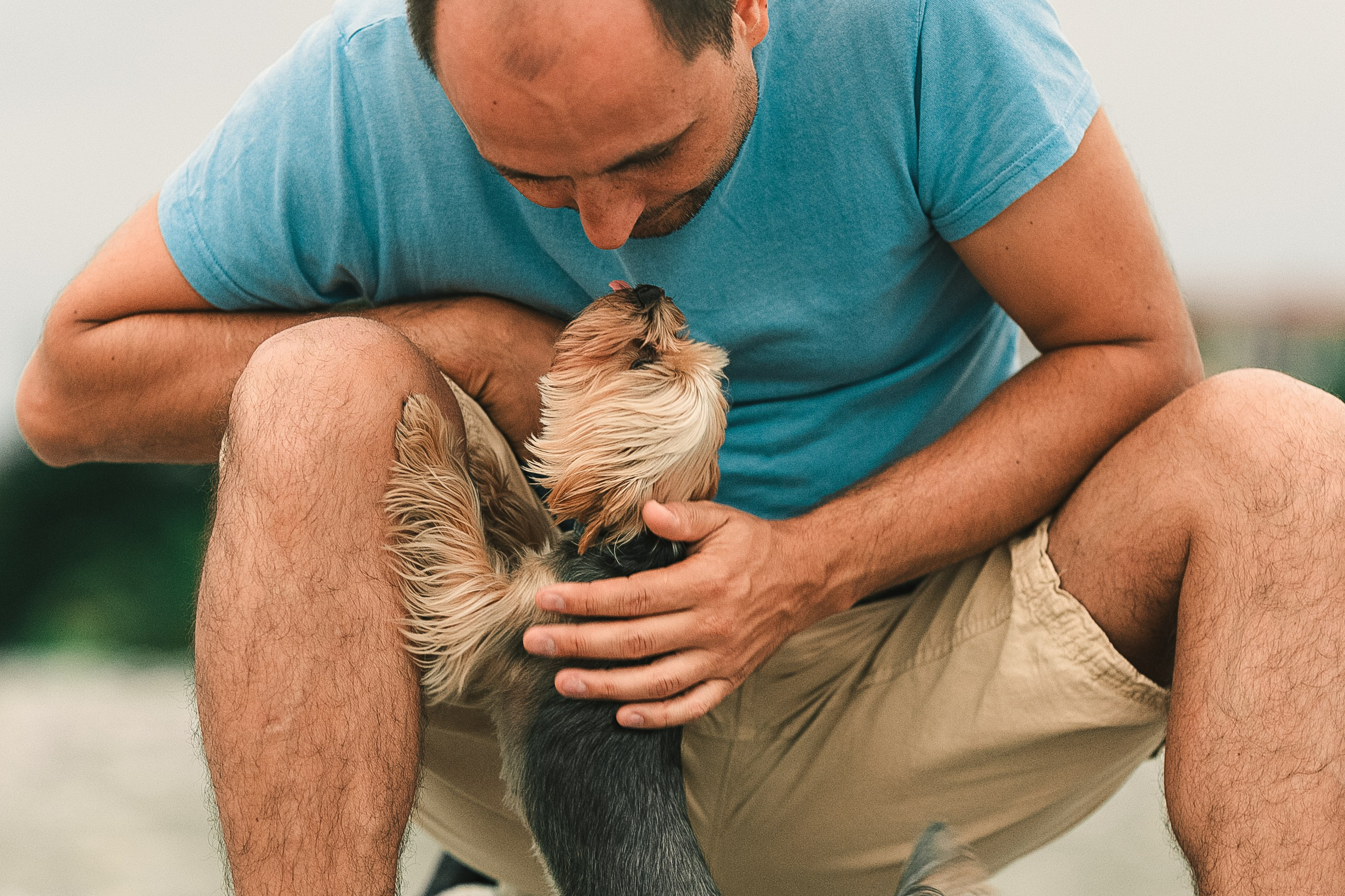 Фотограф анималист Москва