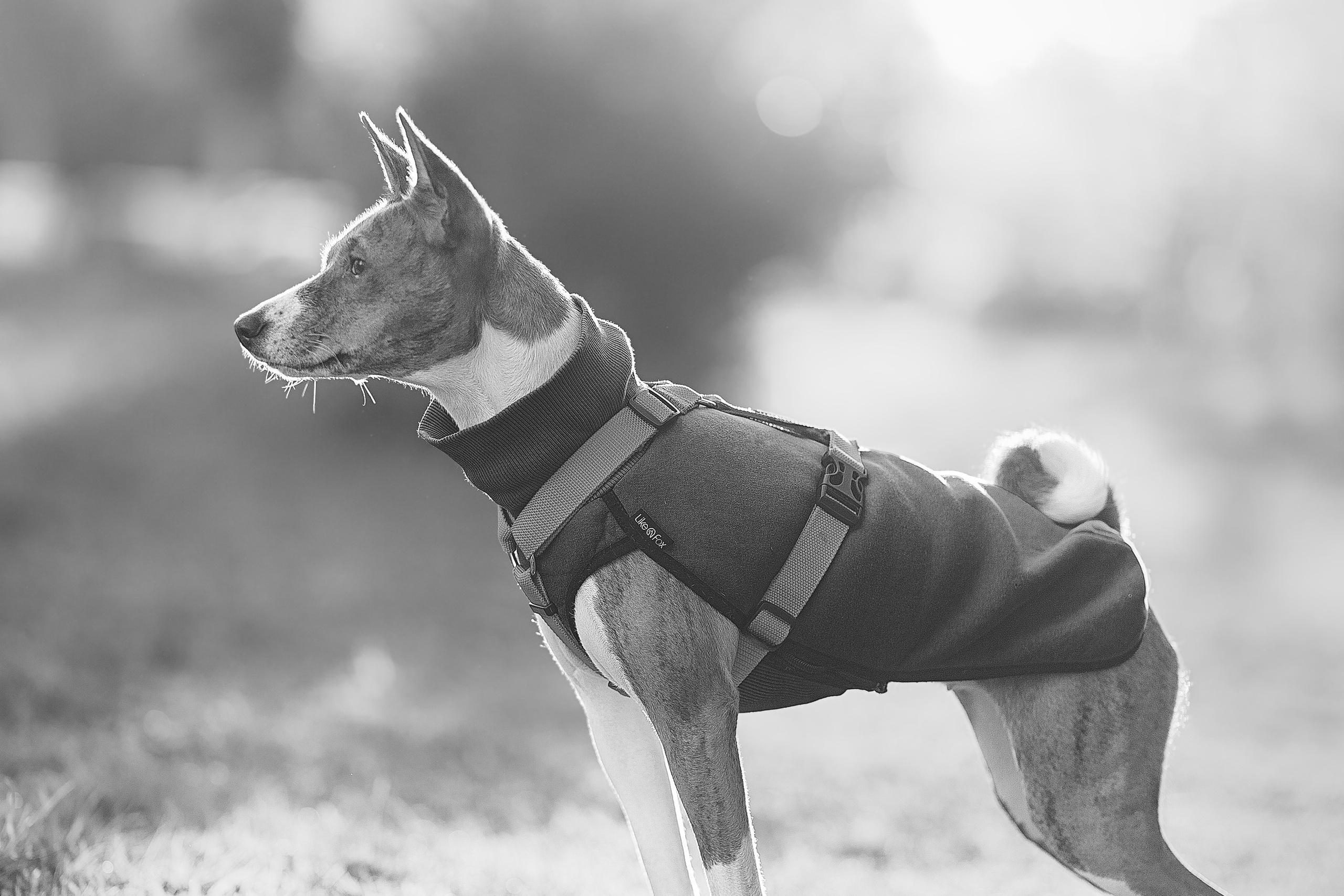 Светлана и Ева