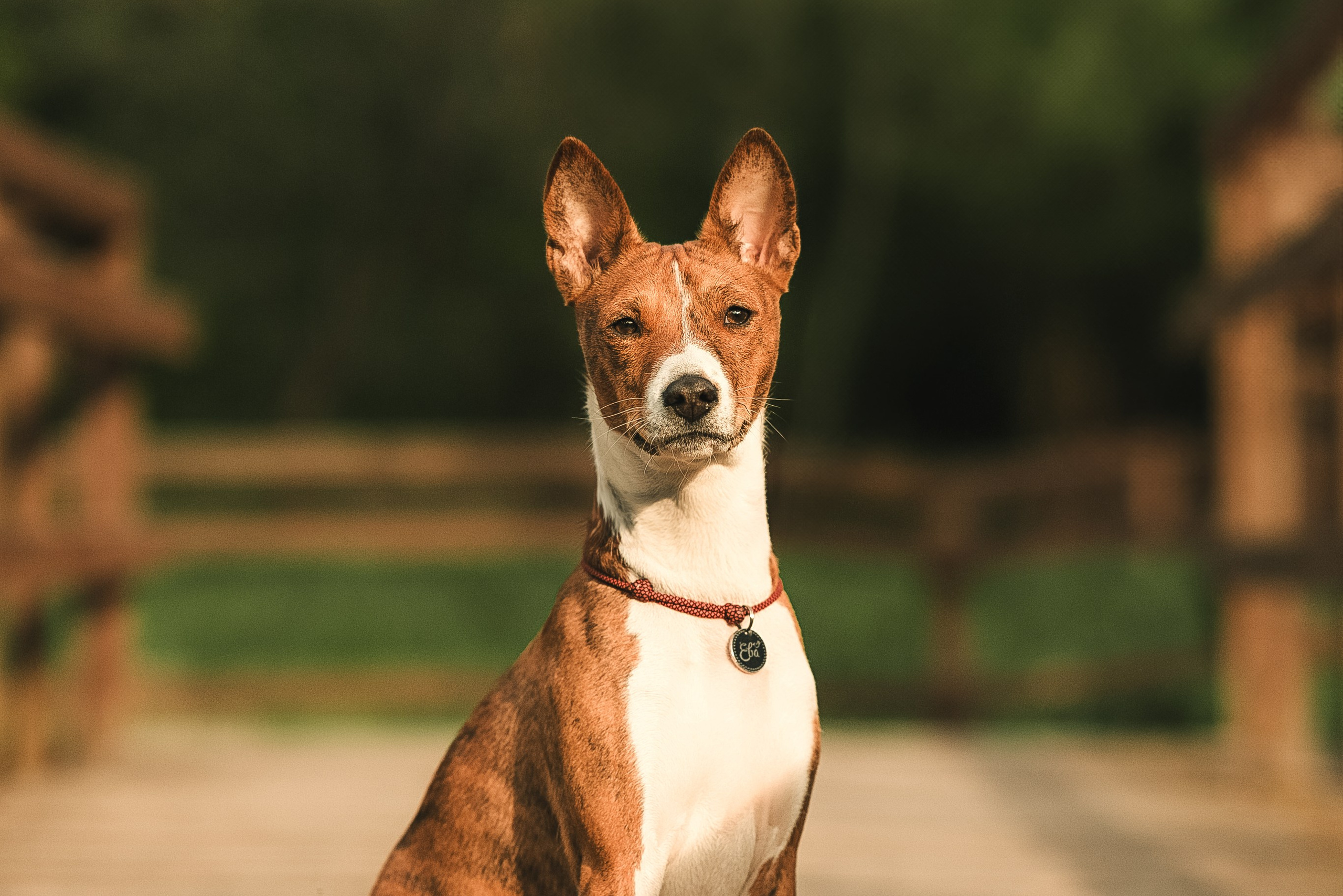 Светлана и Ева