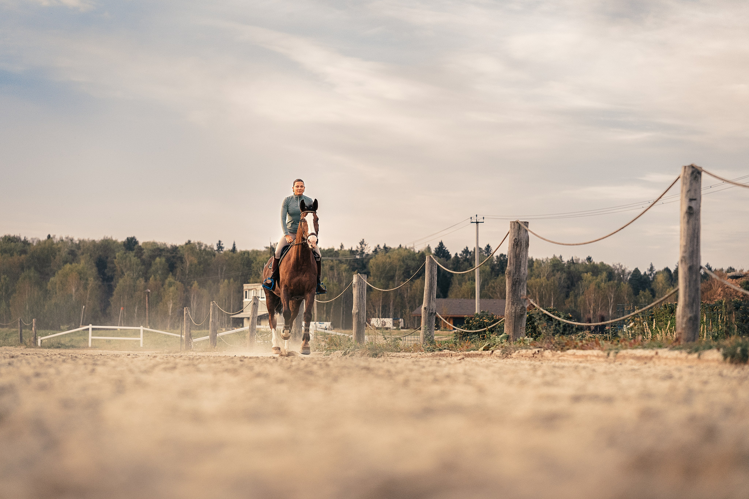 Съёмки с лошадьми