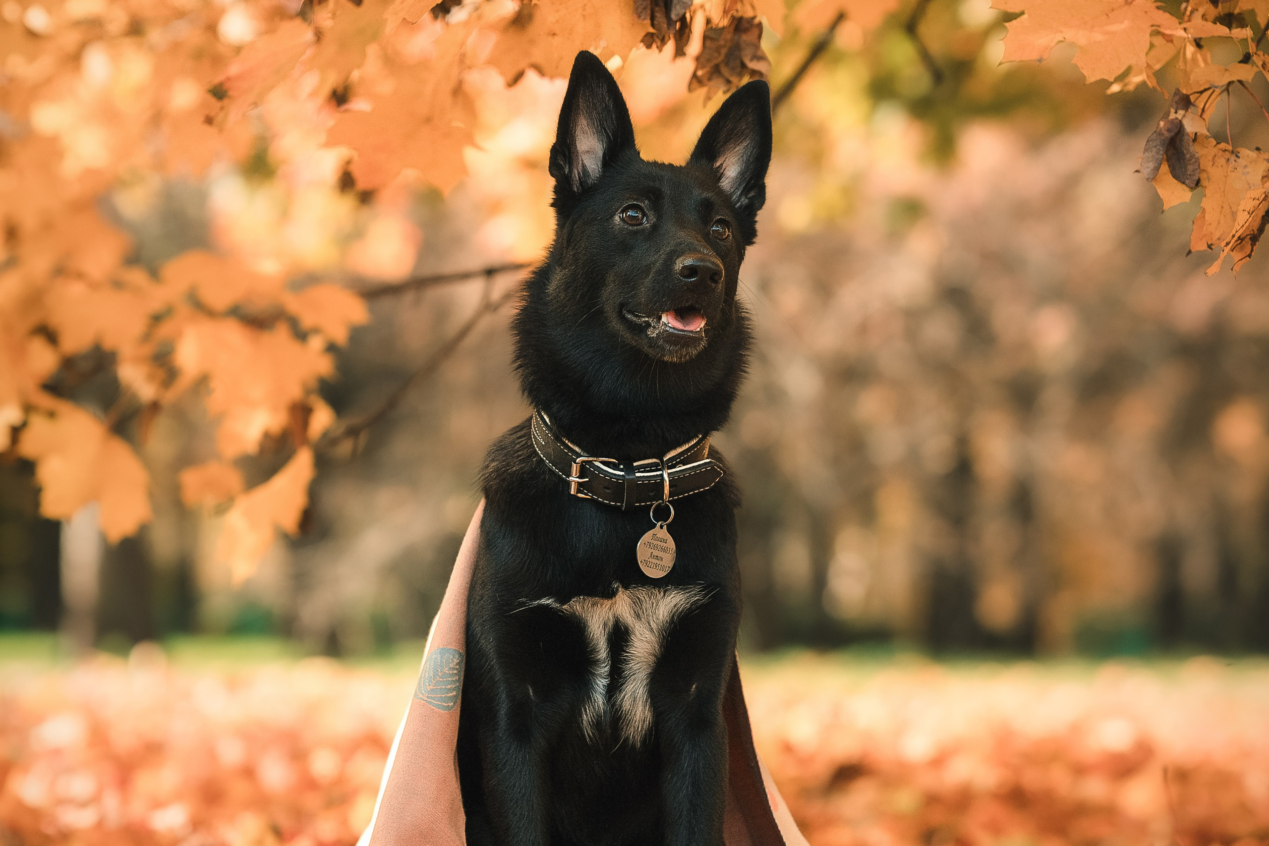 Полина, Антон и Наоми