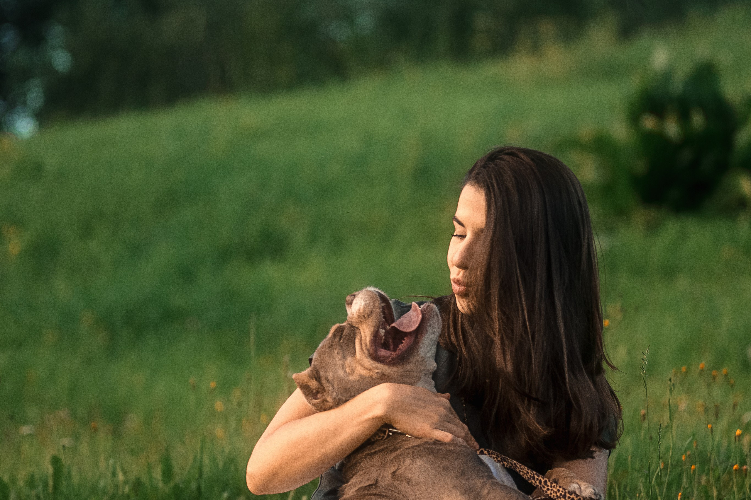Фотограф-анималист в МО