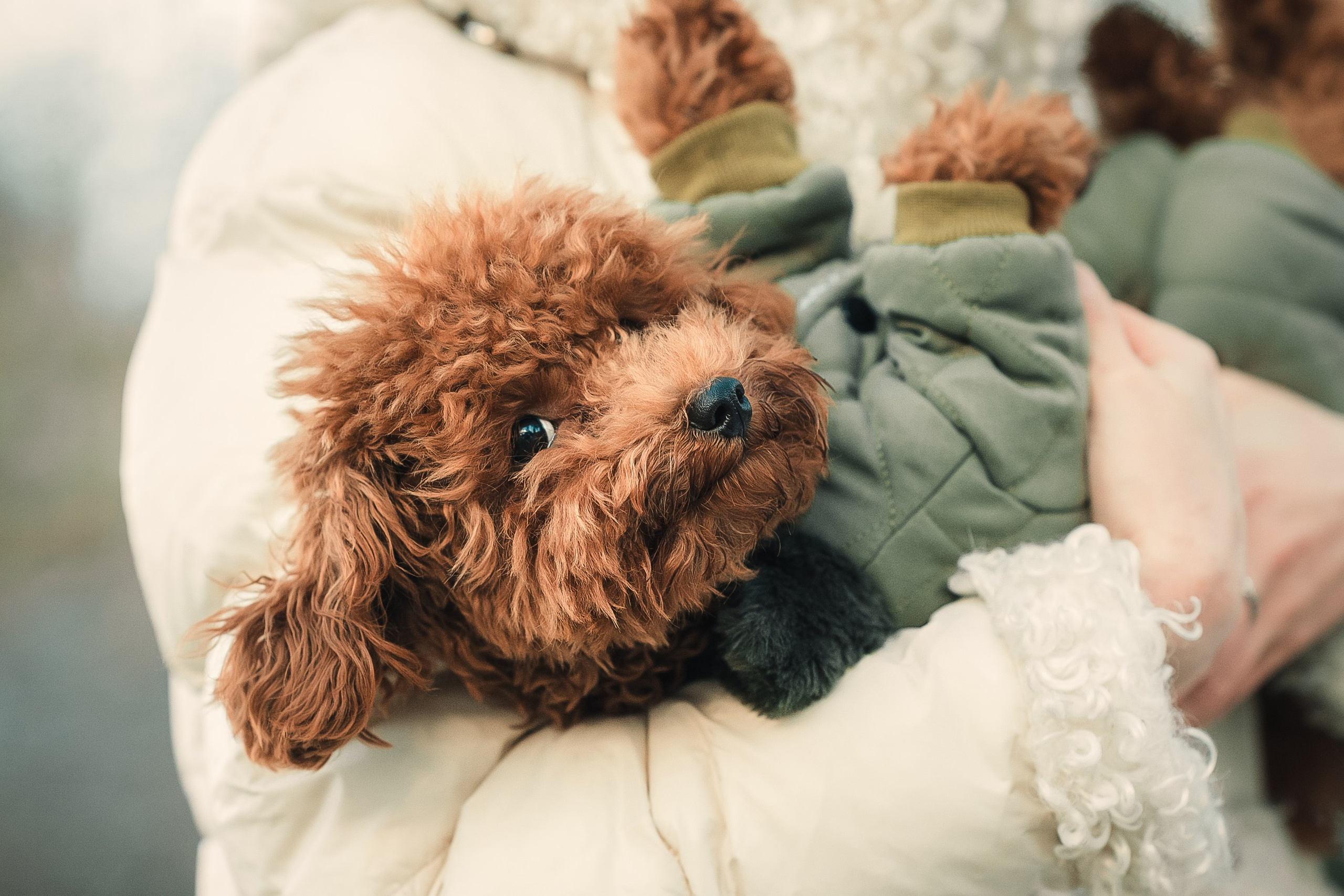 Наталья и Руби