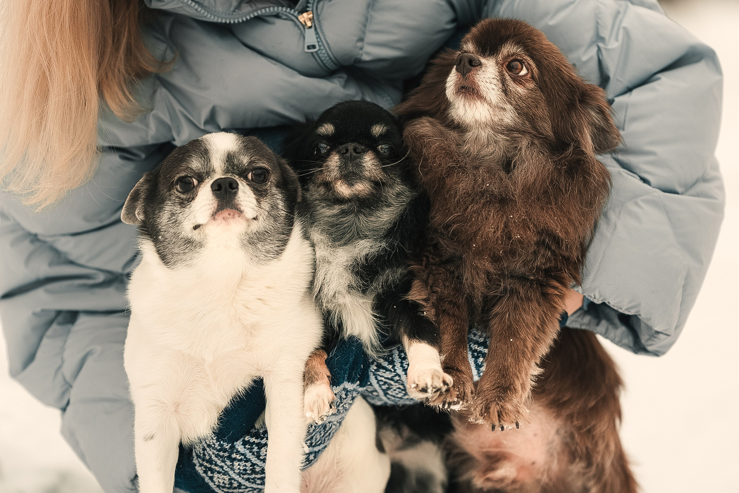 Елена, Тоша, Лиза и Поль