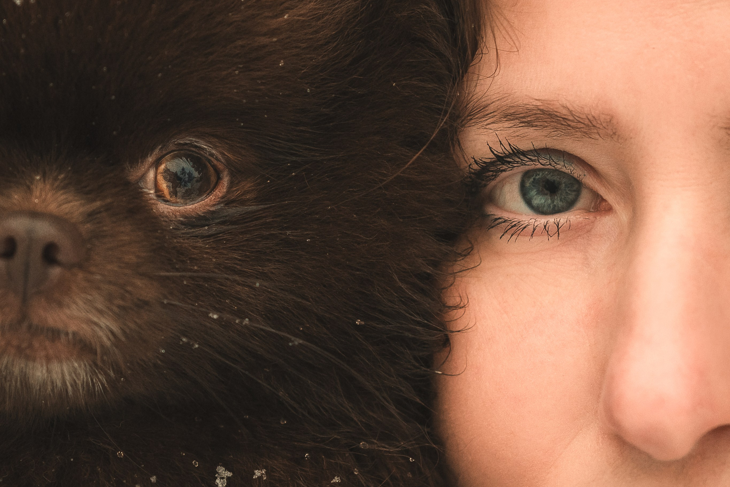 Людмила, Алиса и Шанечка