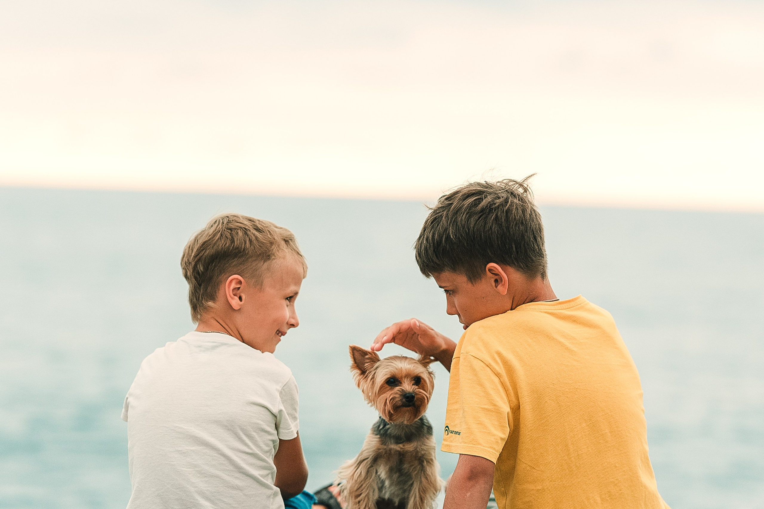 Фотограф анималист Москва