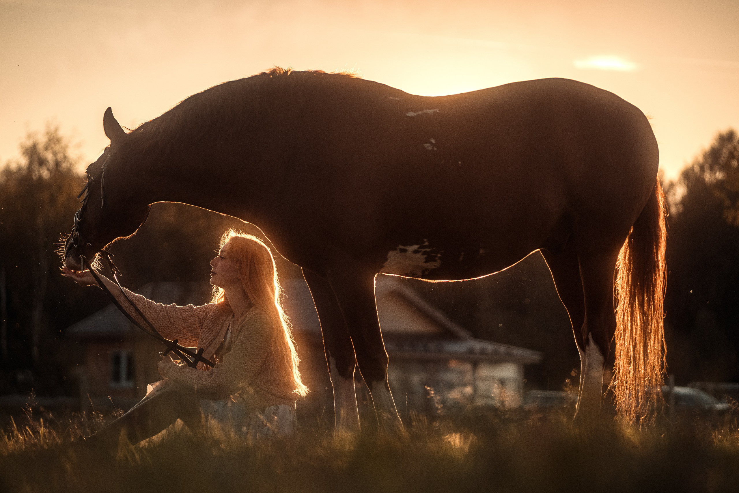 Фотограф-анималист в городе Москва