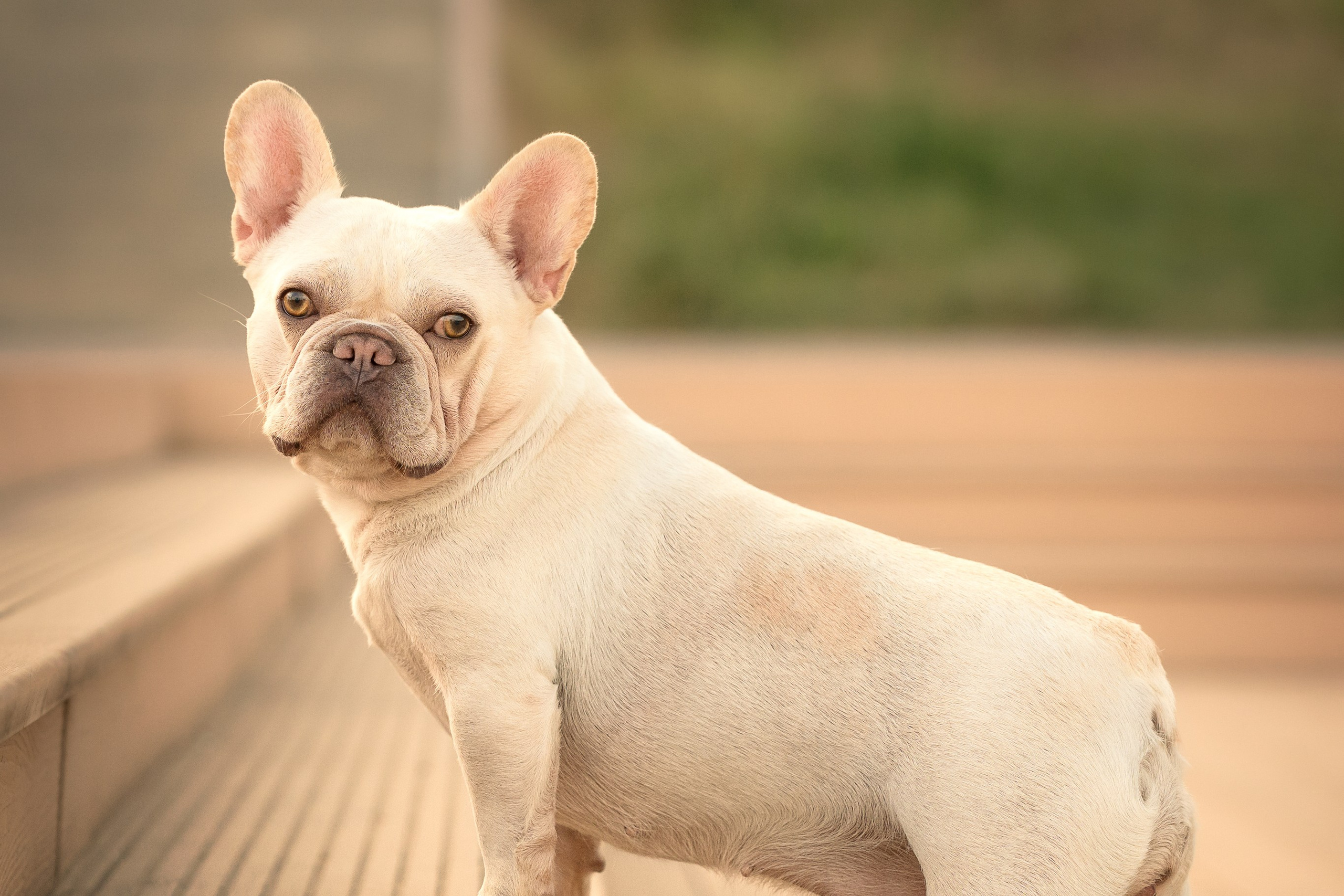 Светлана и Маруся