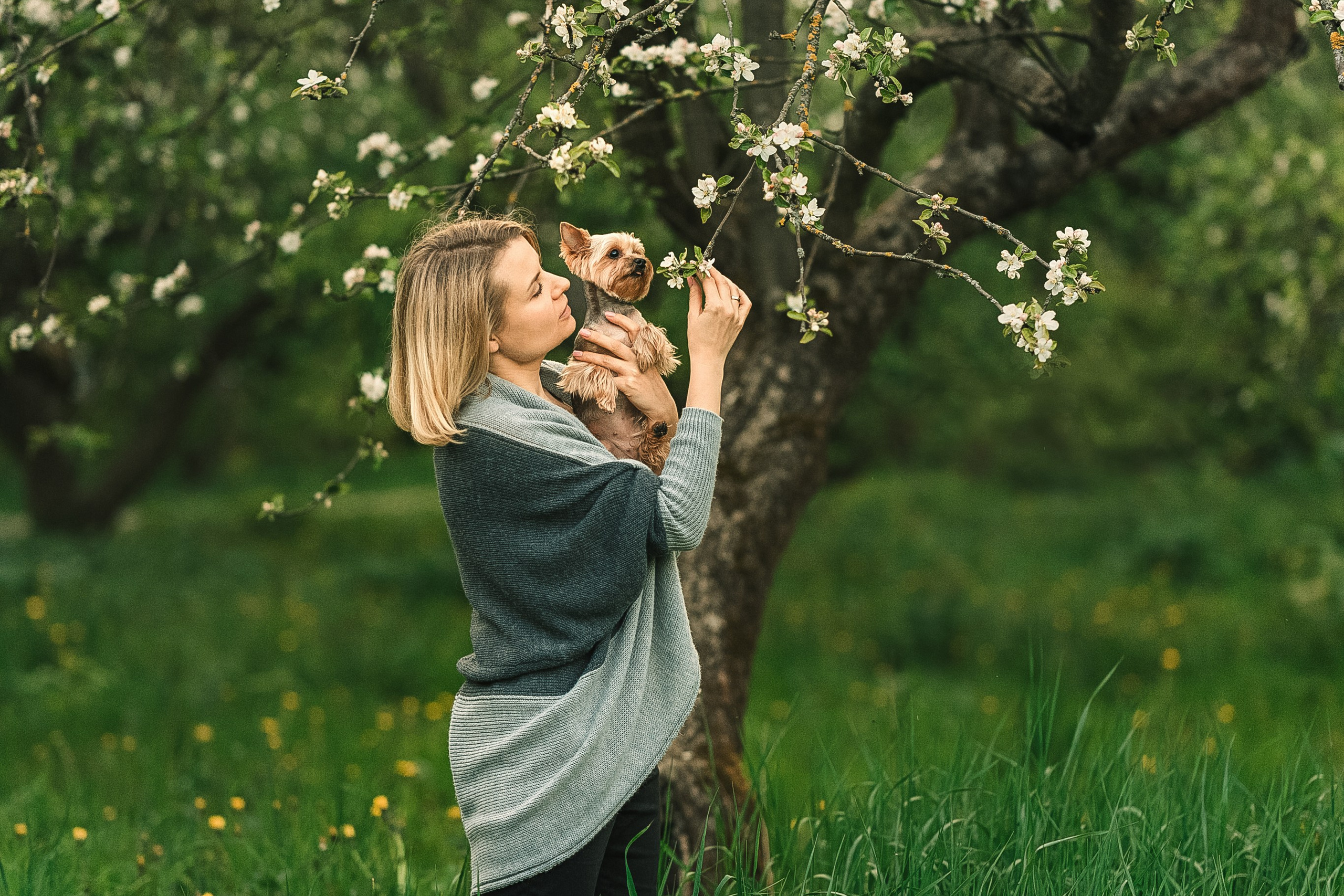 фотограф собак Москва