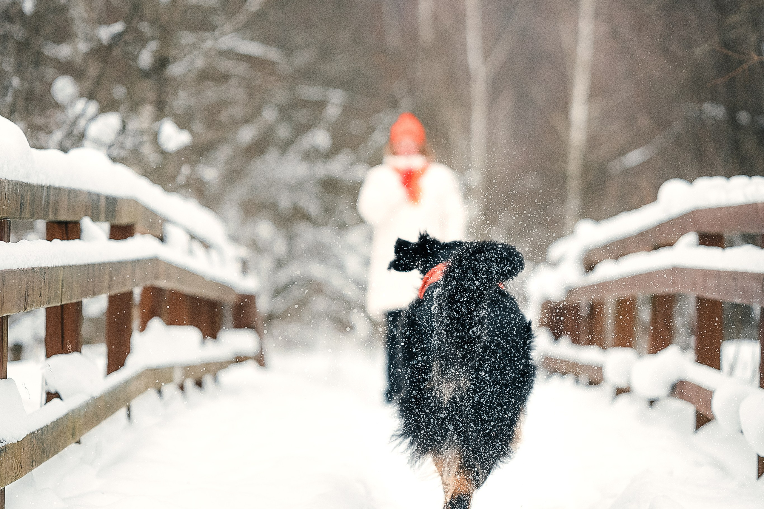 Анна и Тайгер
