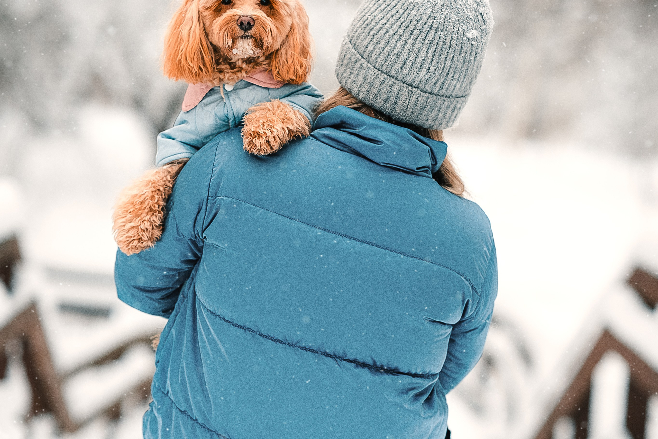 Марина и Чарли