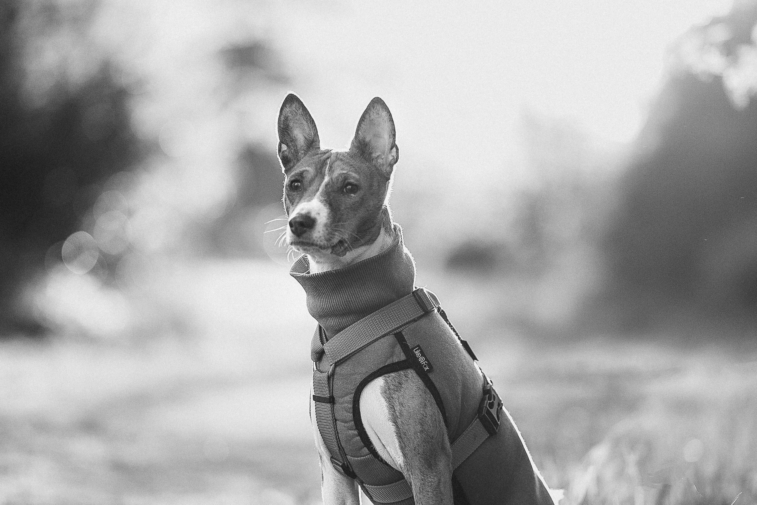 Светлана и Ева