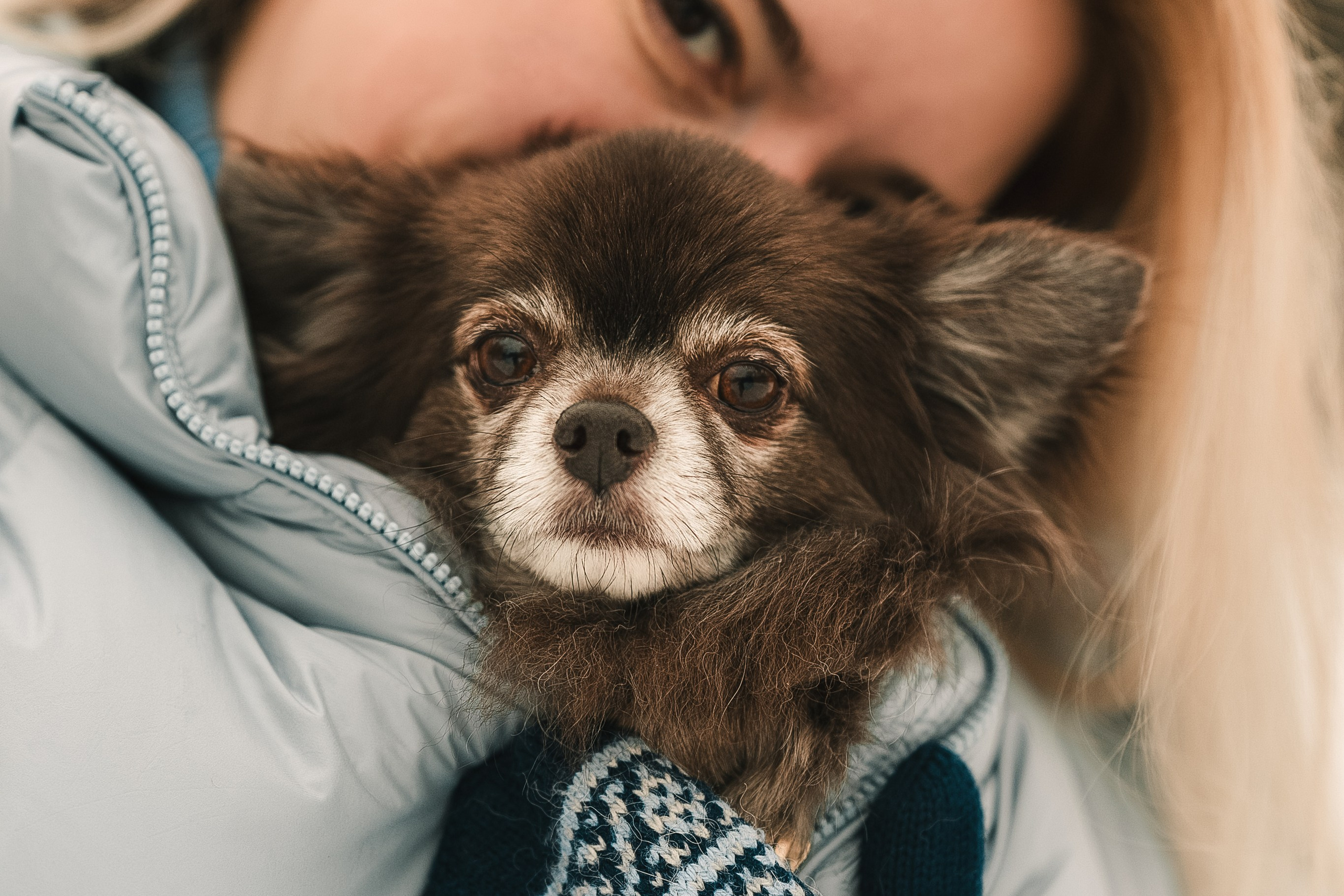 Елена, Тоша, Лиза и Поль