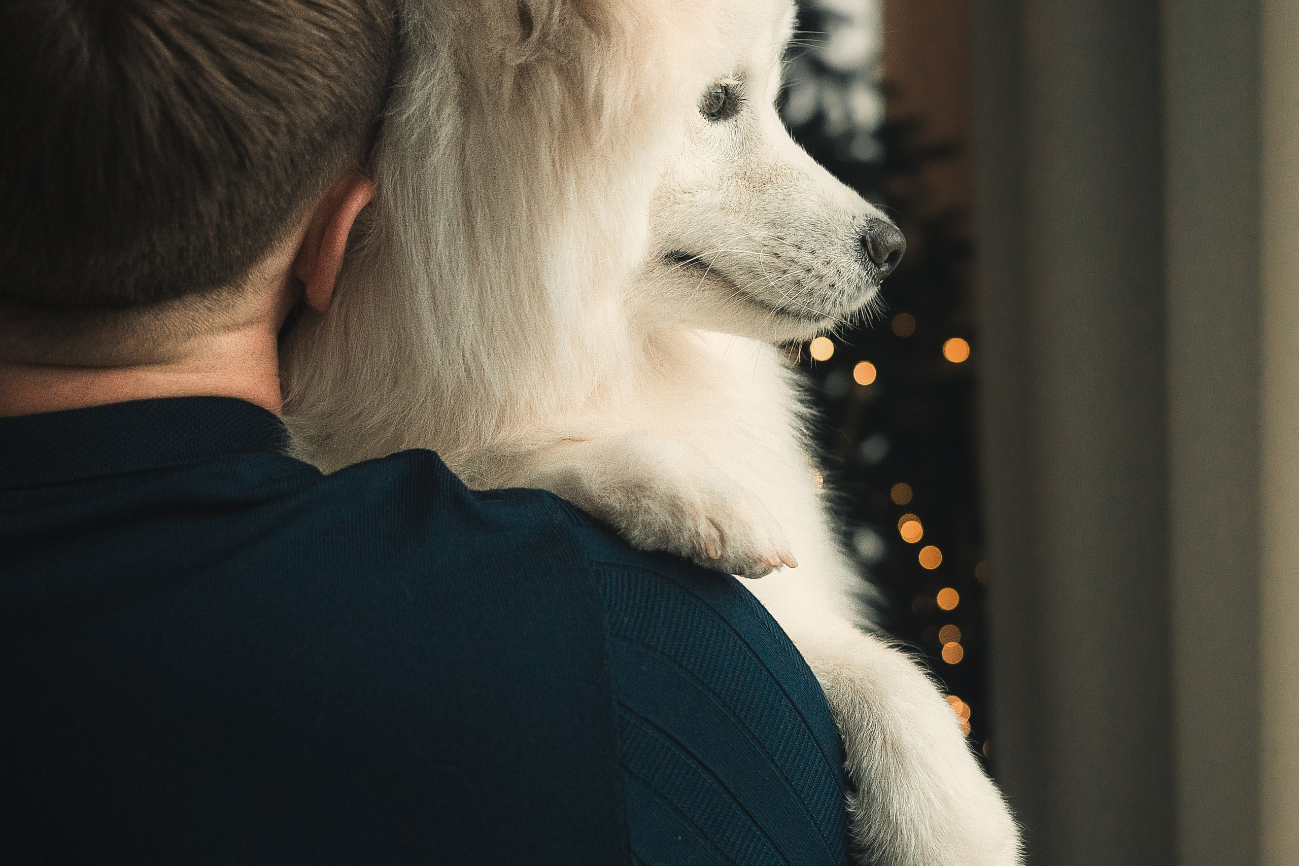 Лиза, Давид и два хвостатых облачка