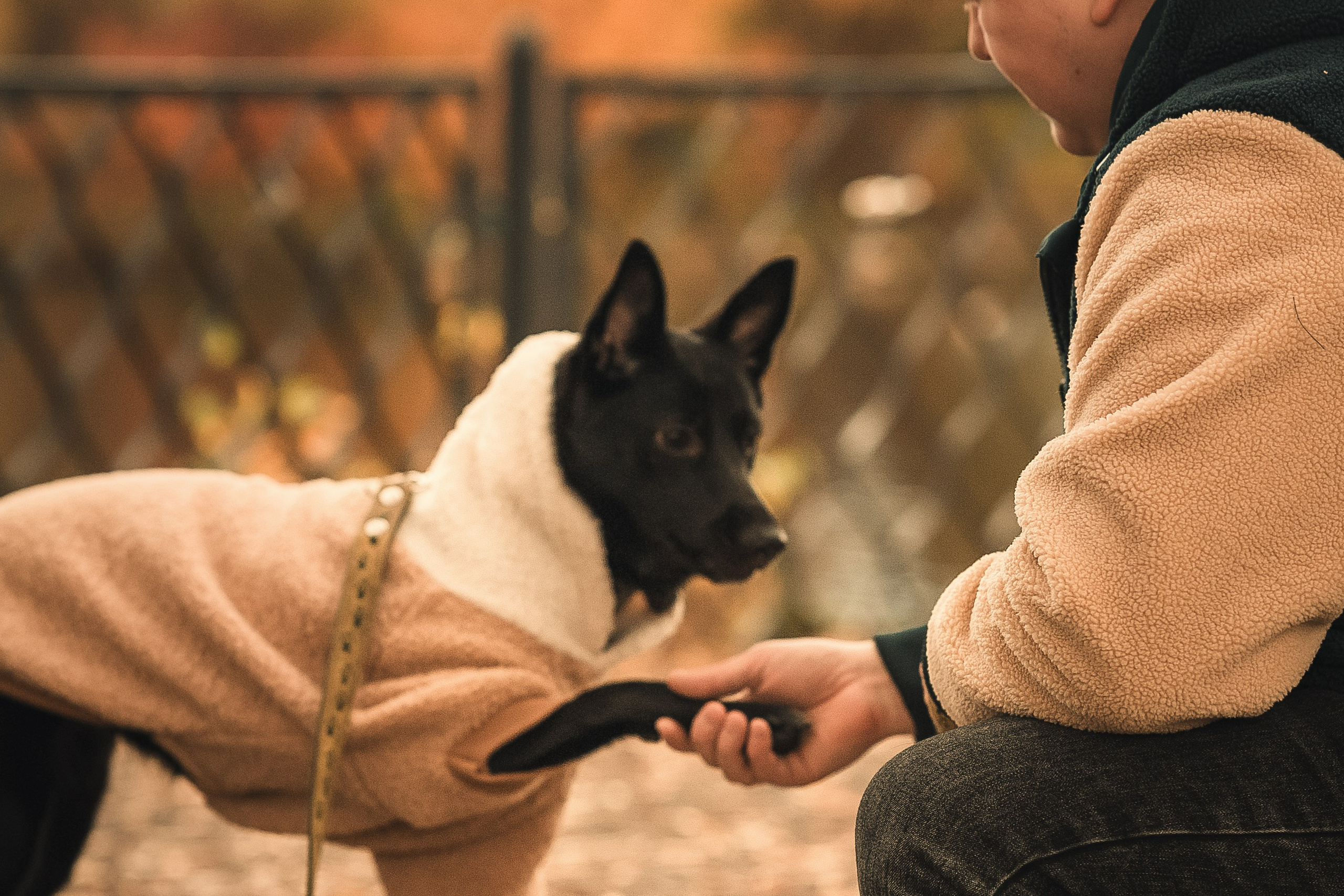 Полина, Антон и Наоми