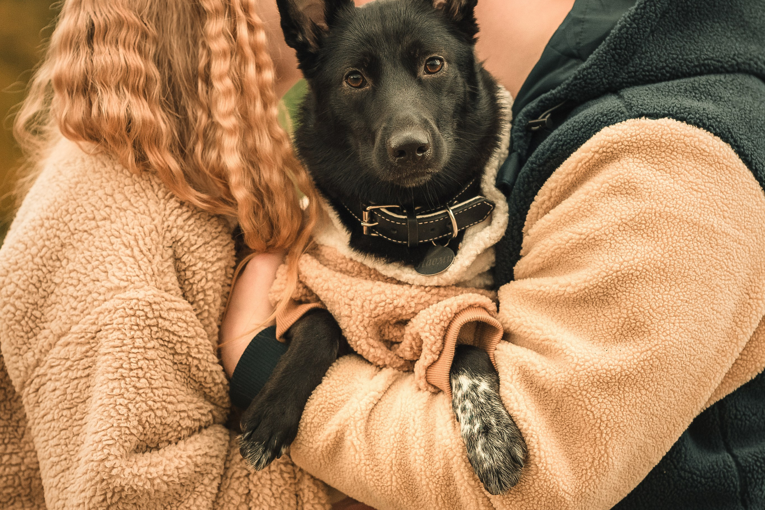 Фотограф собак Москва