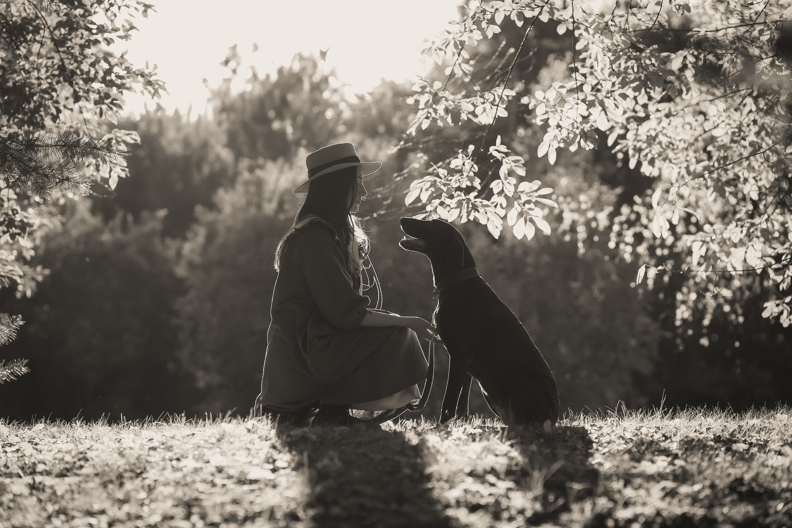 Фотография девушка с собакой