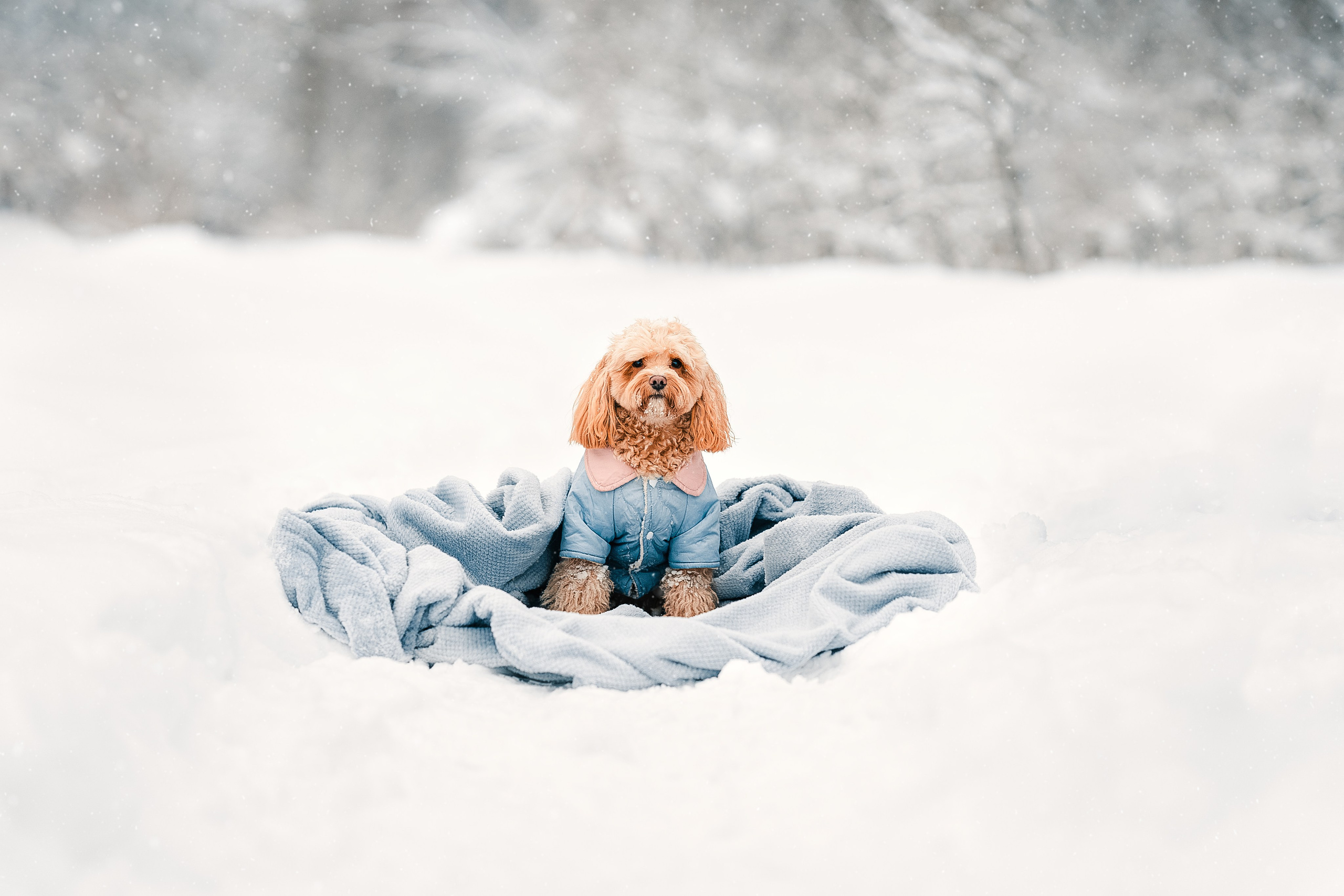 Марина и Чарли