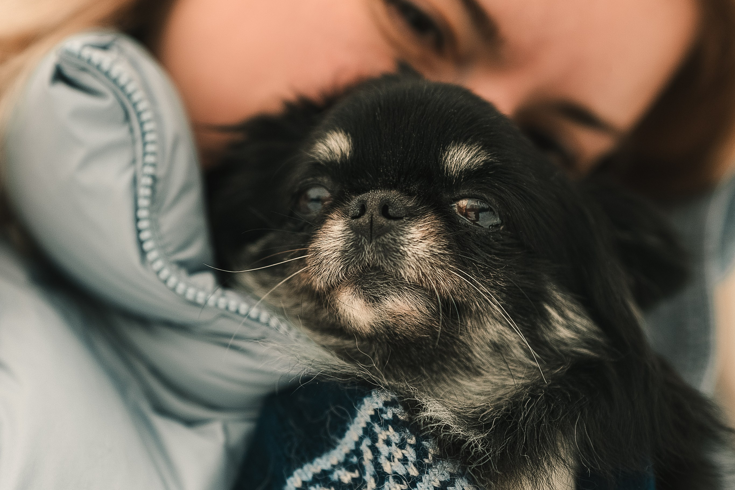 Елена, Тоша, Лиза и Поль