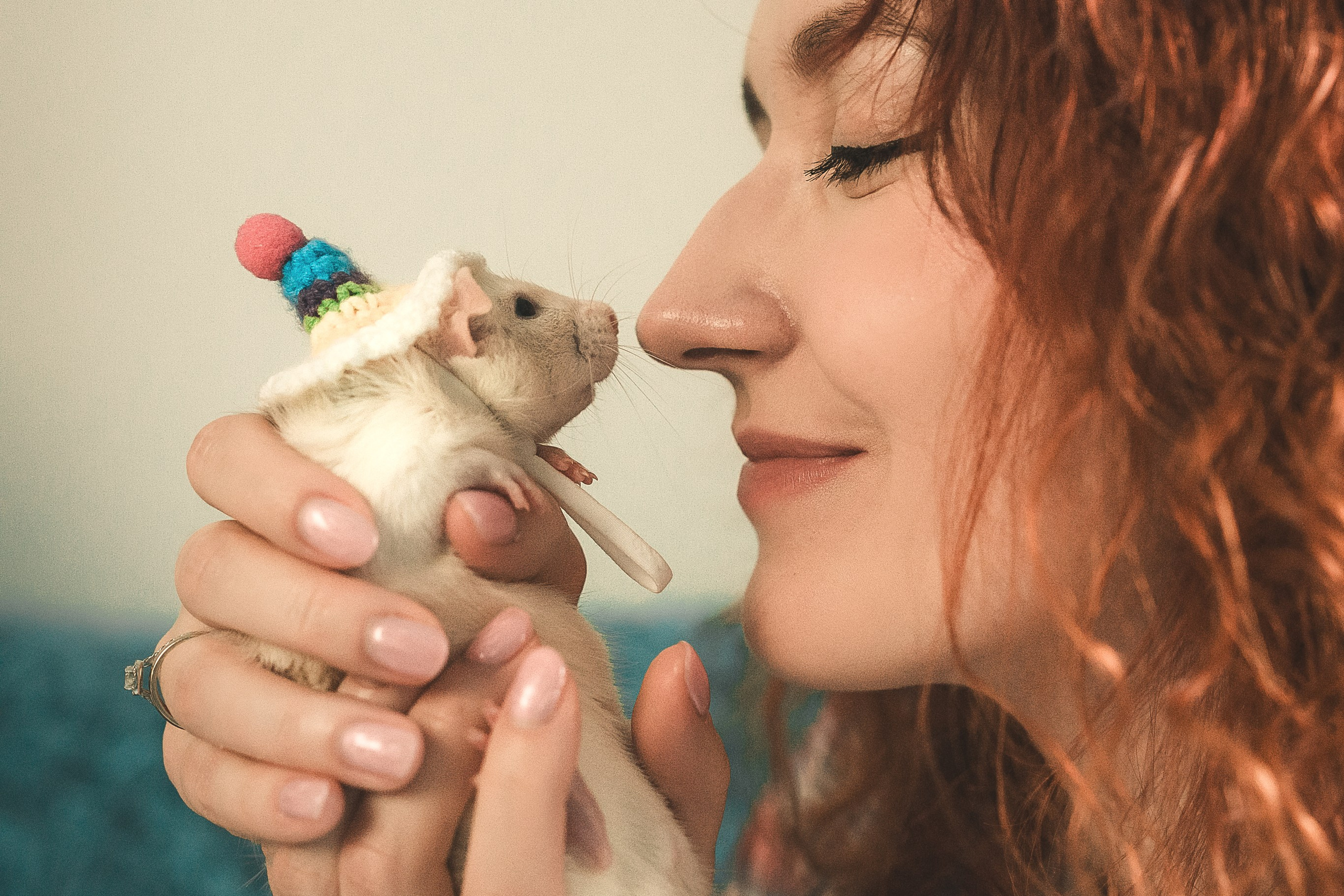 Домашняя история с крысиками