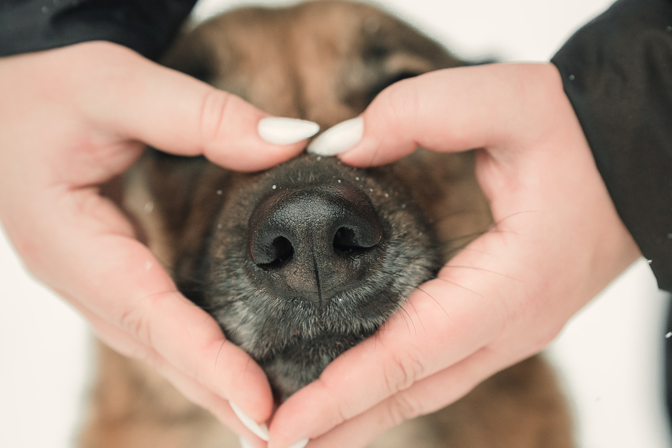 Анна и Руна