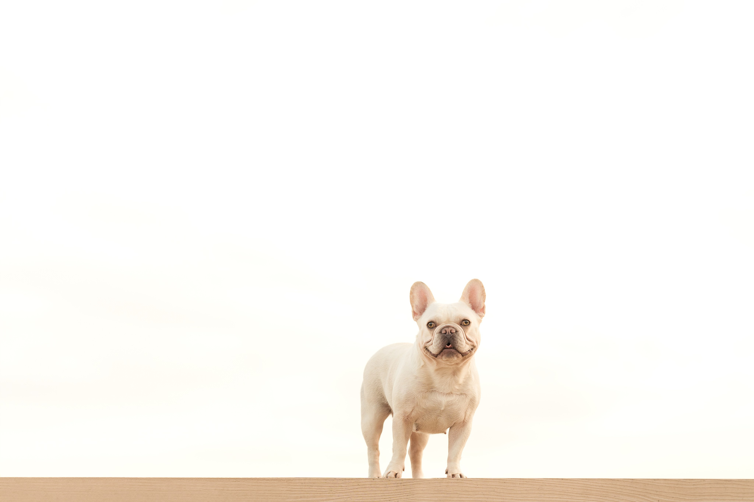 Светлана и Маруся