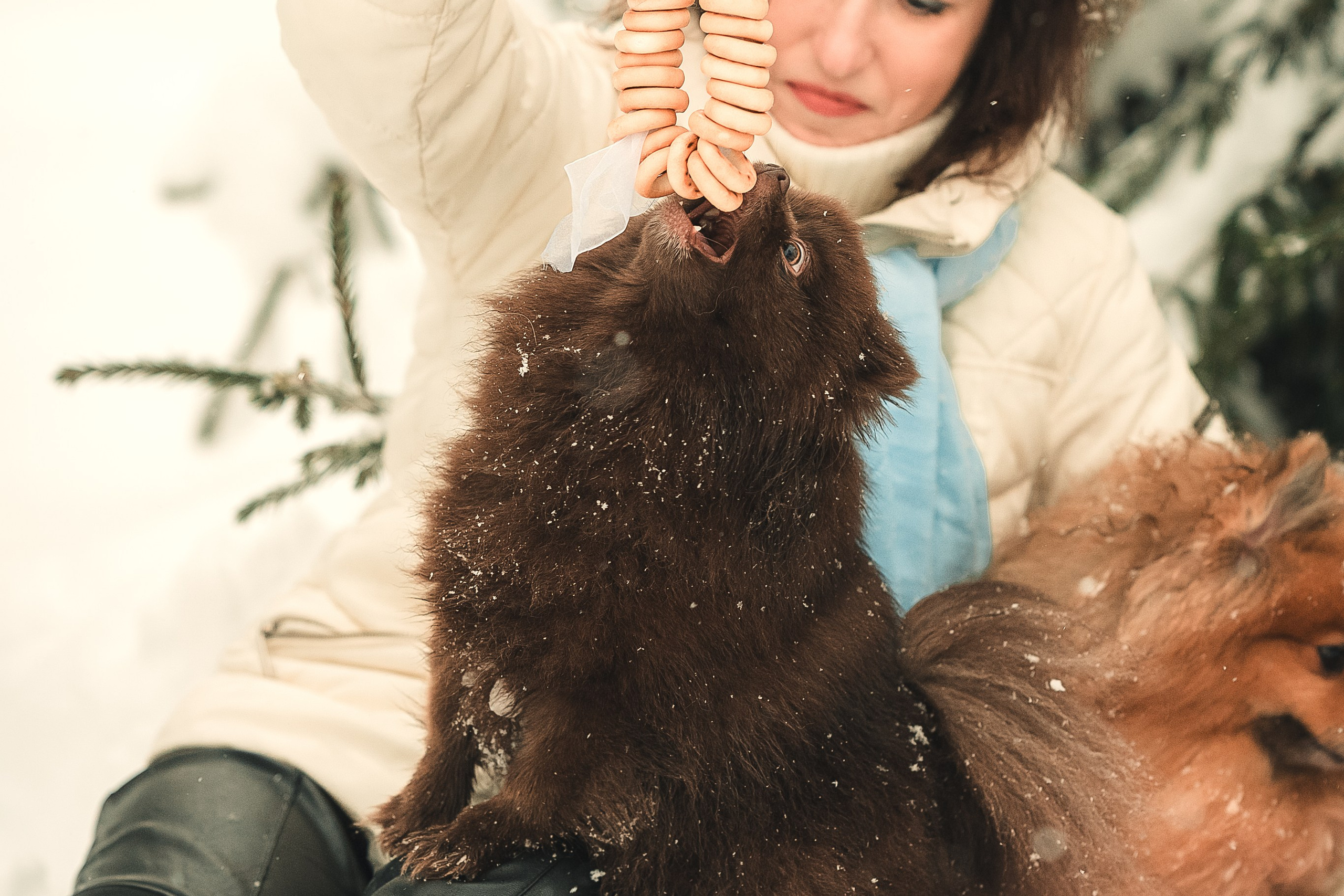 Людмила, Алиса и Шанечка