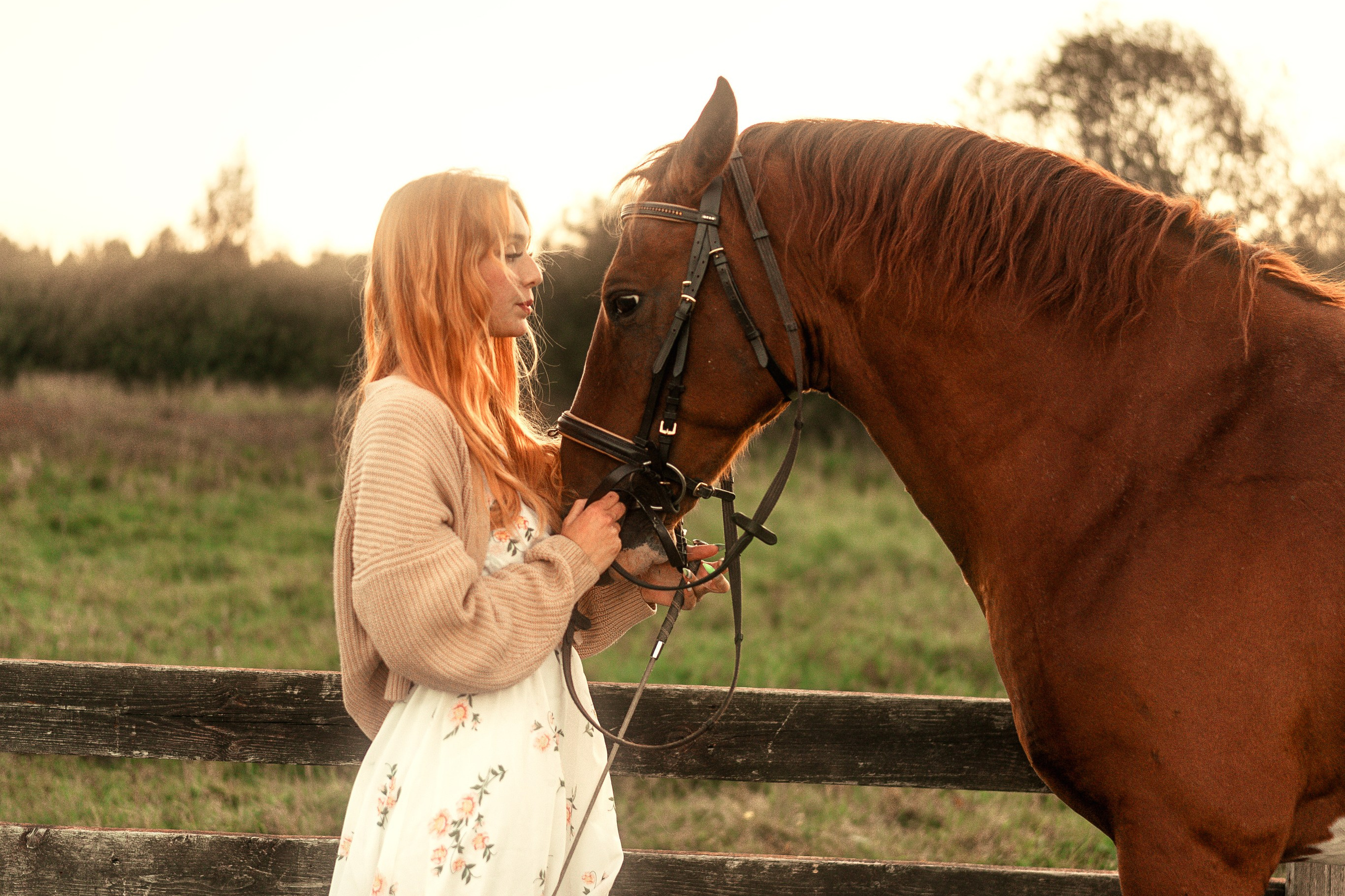 Фотосессия с лошадьми Москва