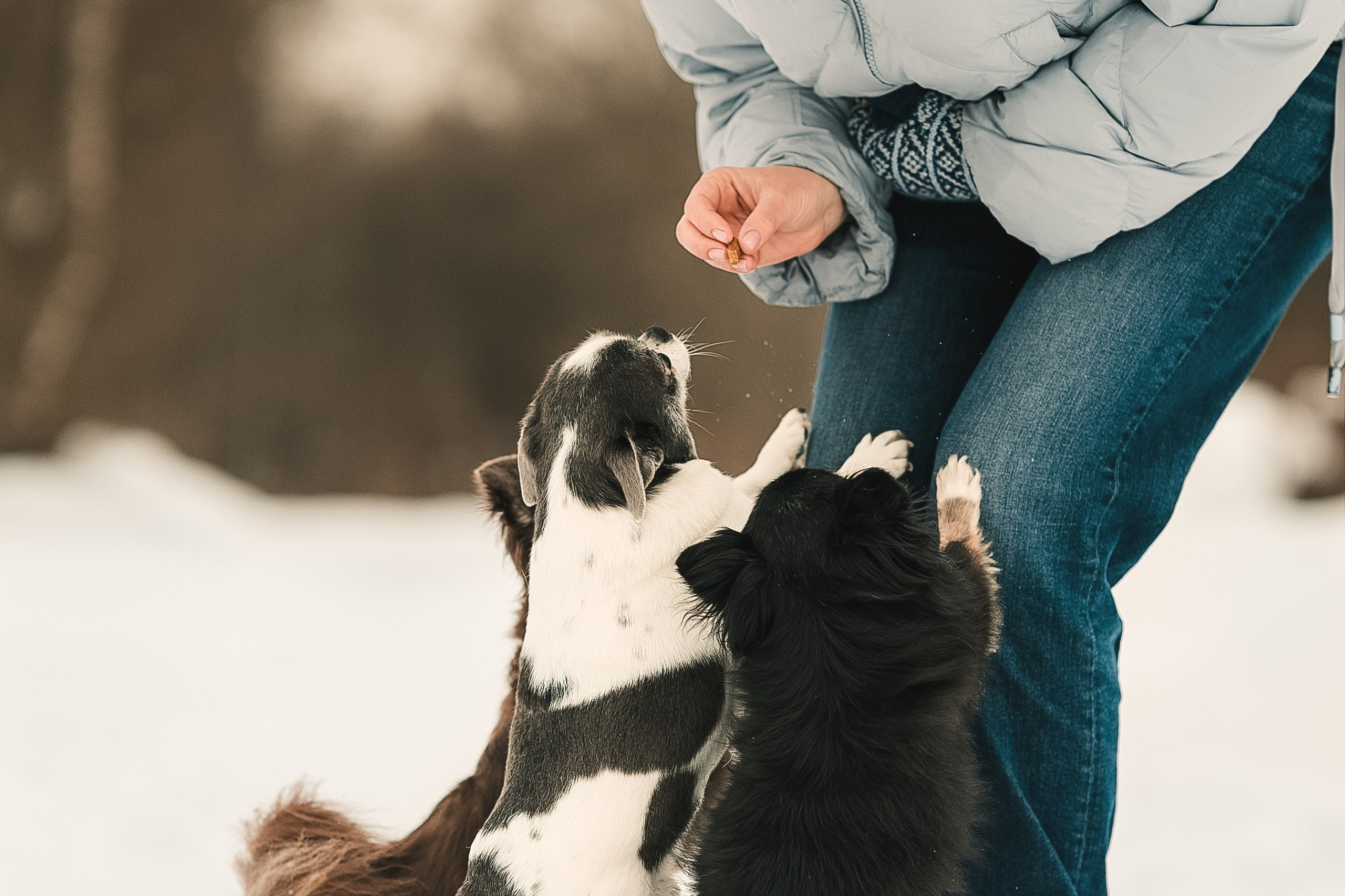 Елена, Тоша, Лиза и Поль