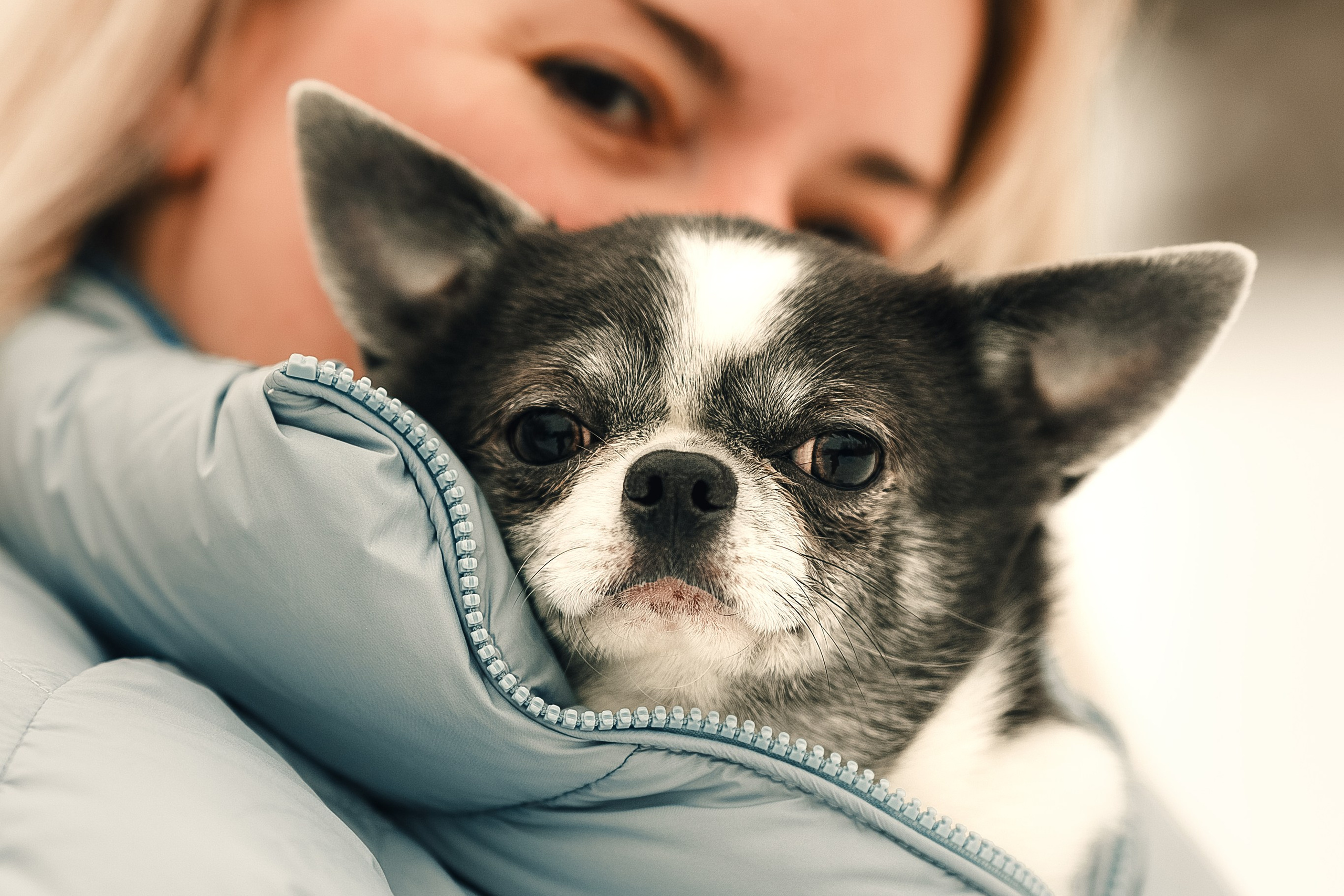 Елена и малыши чихи