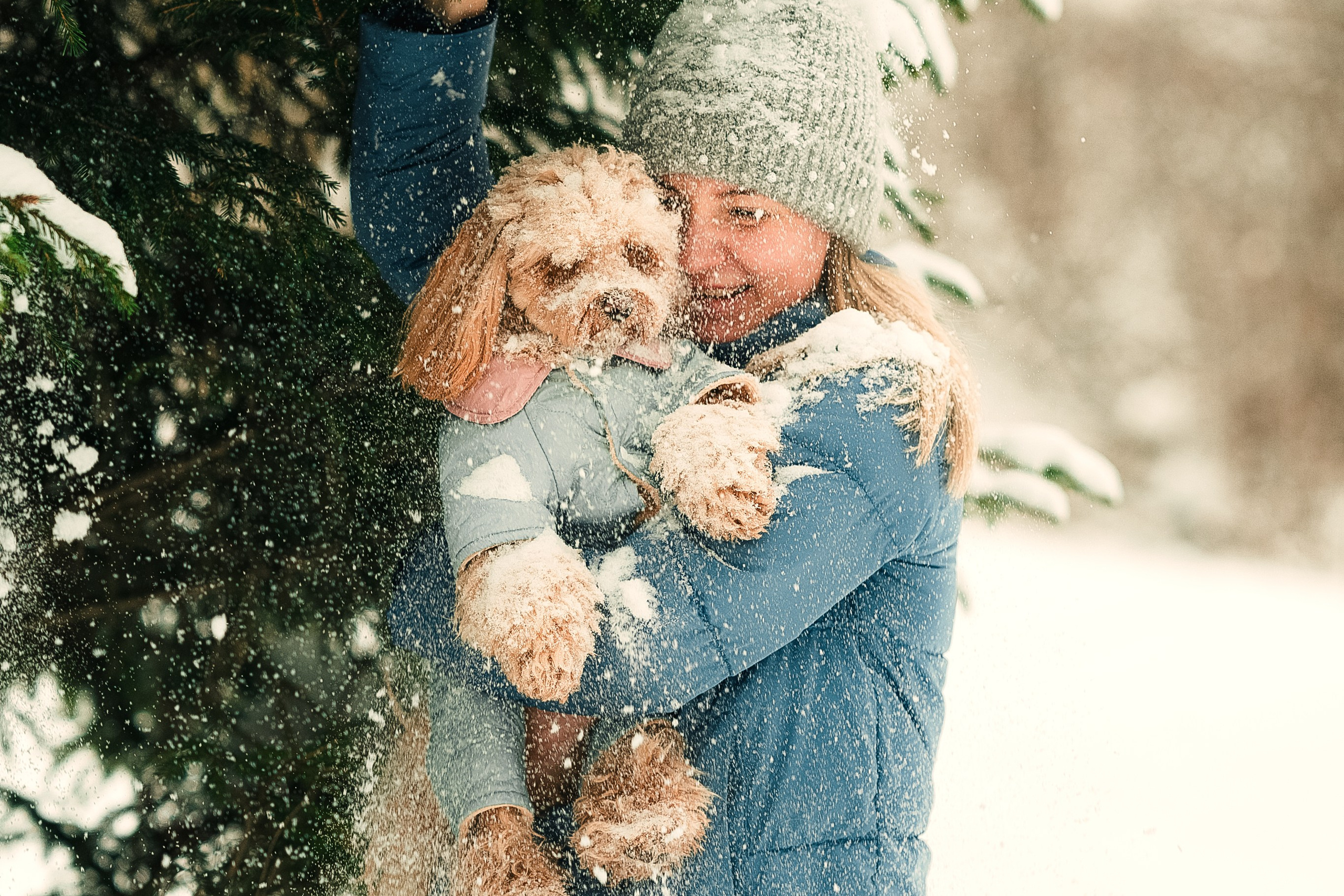 Фотосессия с собакой в парке Москва