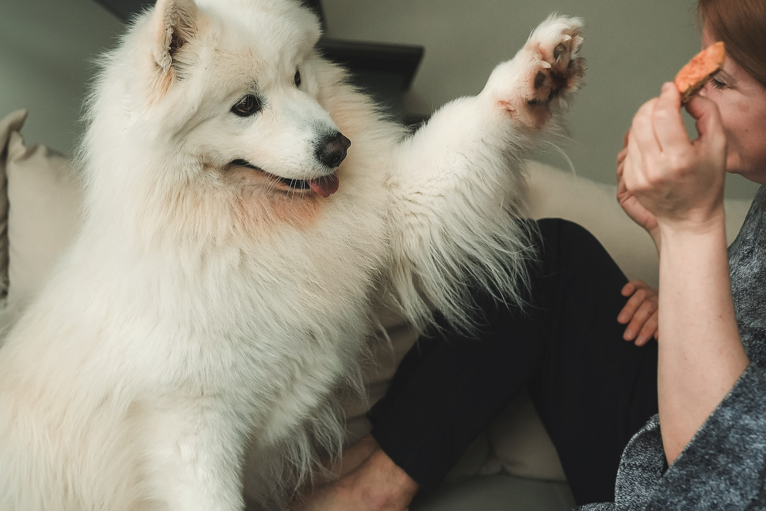 Юрий, Марианна и Санни