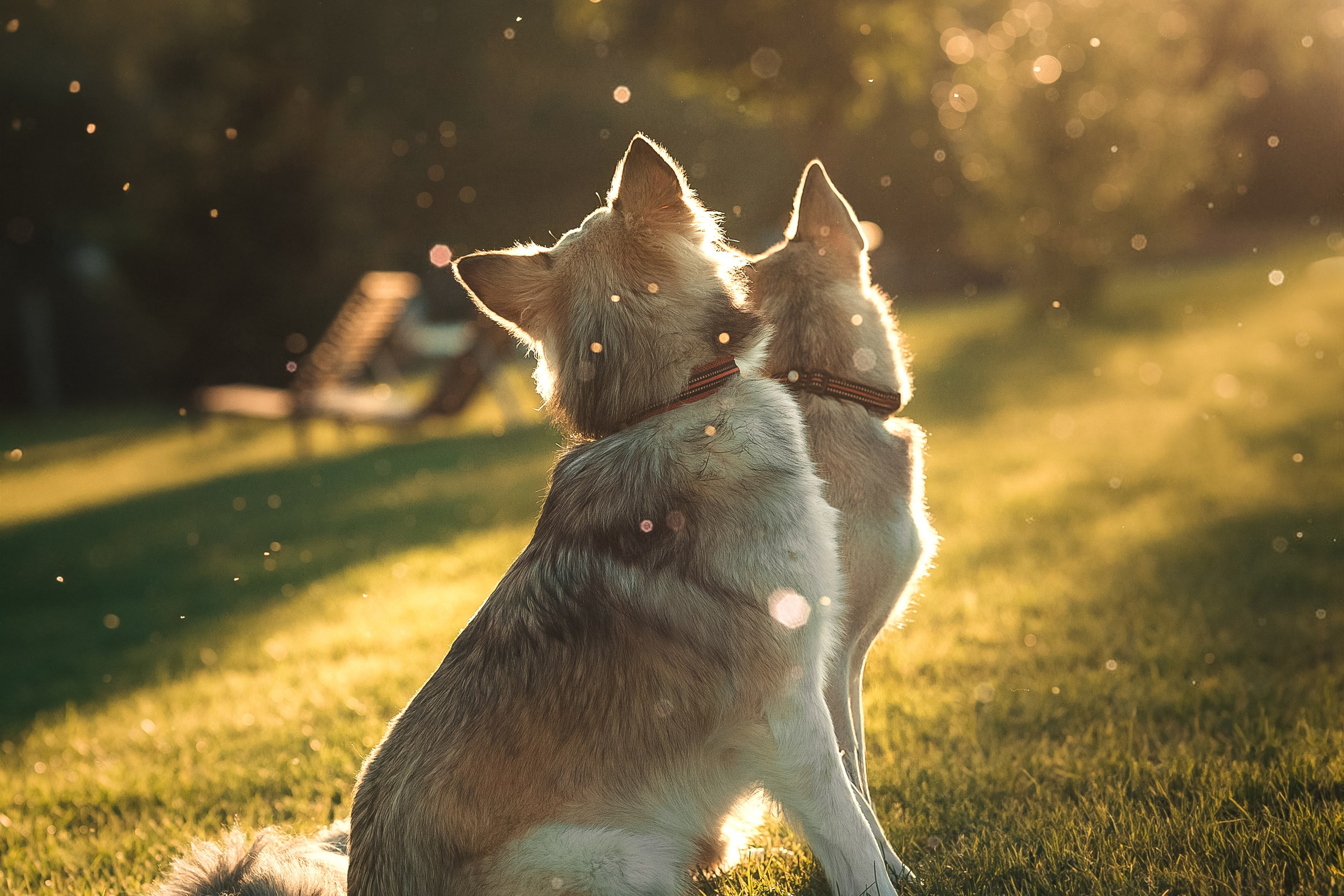 Фотограф Зеленог